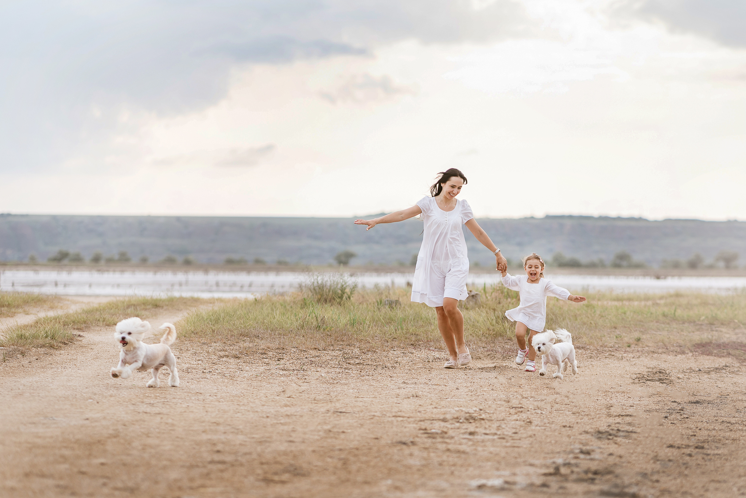 Малышка Аля и 2 болонки