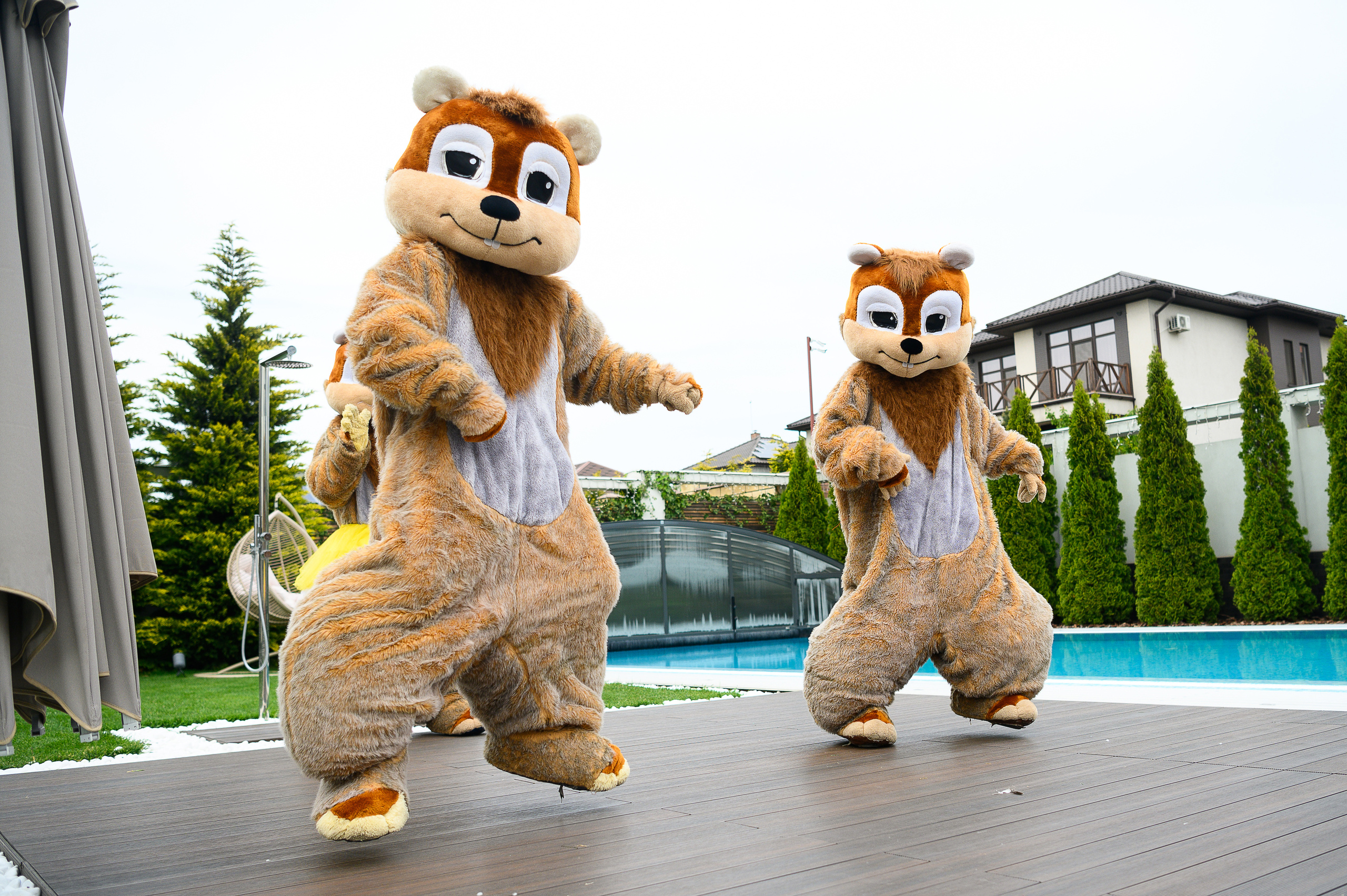 День Рождения Алины