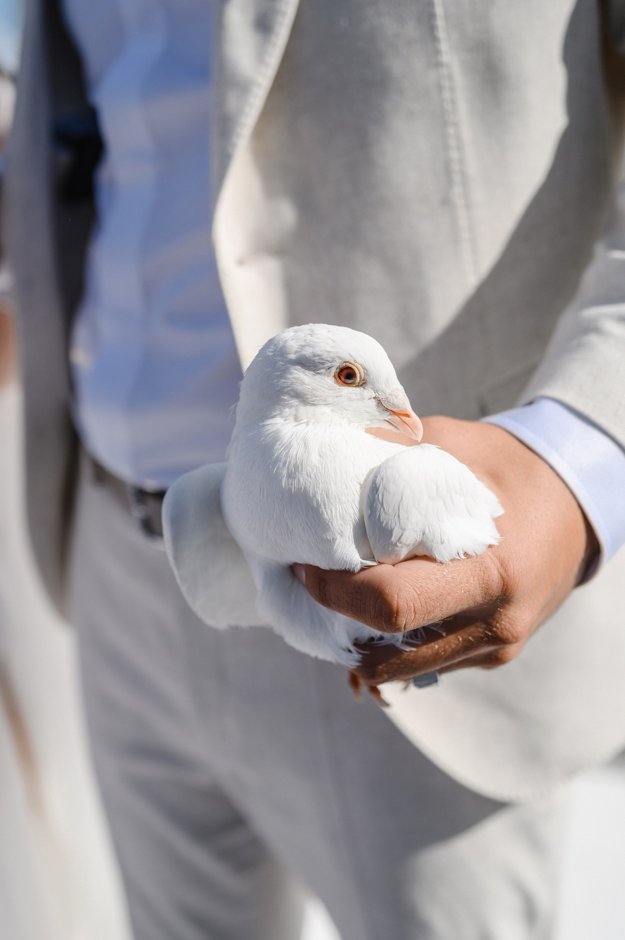 Свадьба Влад и Аня ресторан Портофина