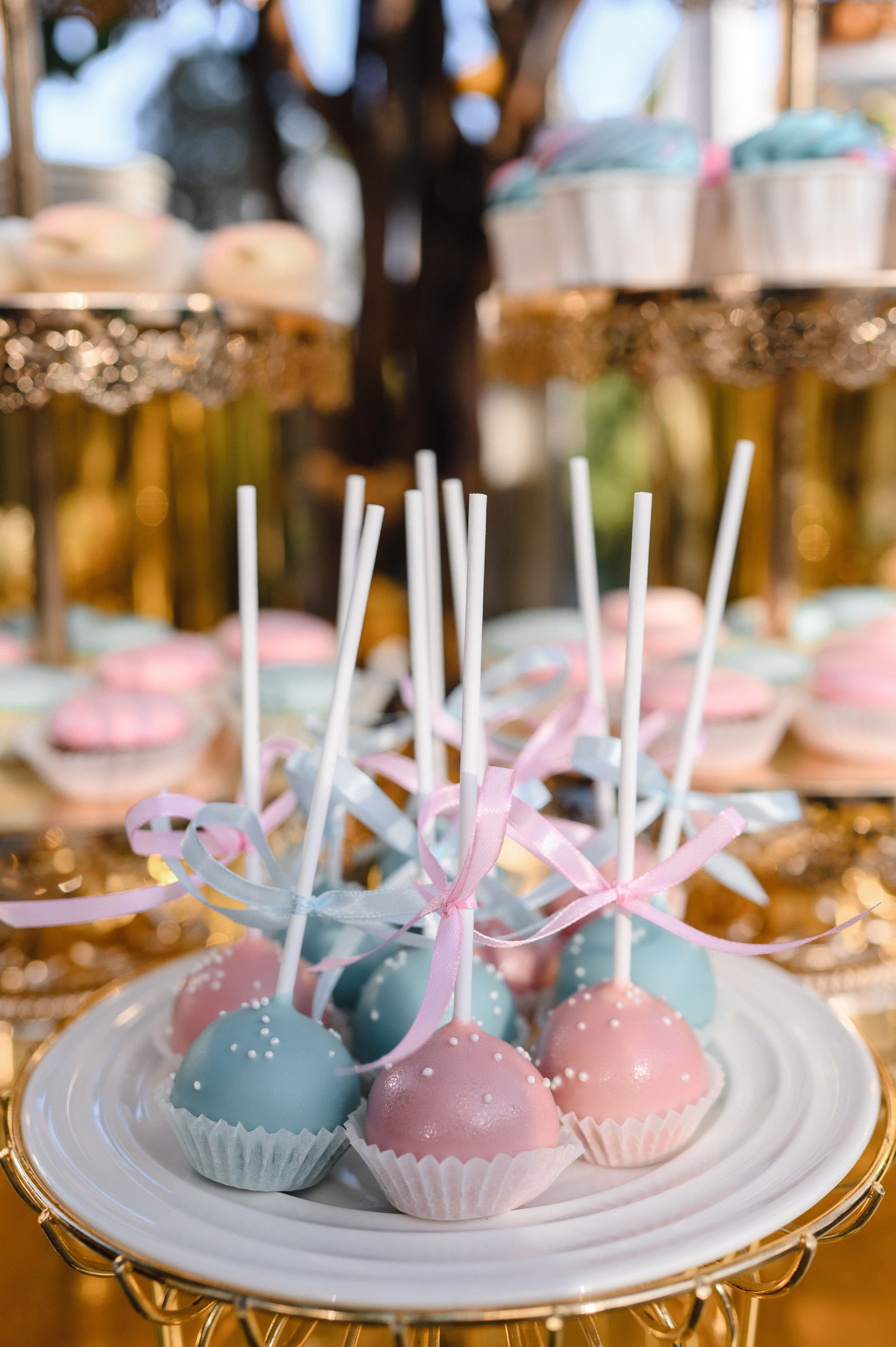 Гендер Пати, Premium park, Кишинев