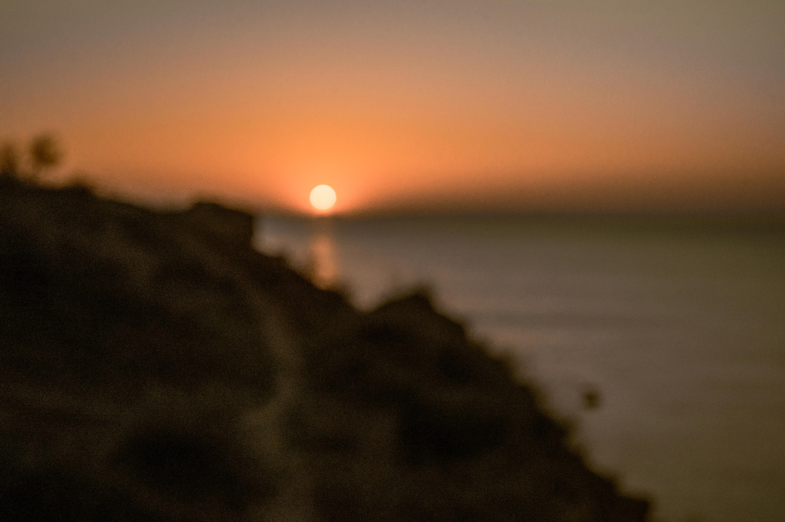 Любовь с нарциссами или рассвет на Фонтанке