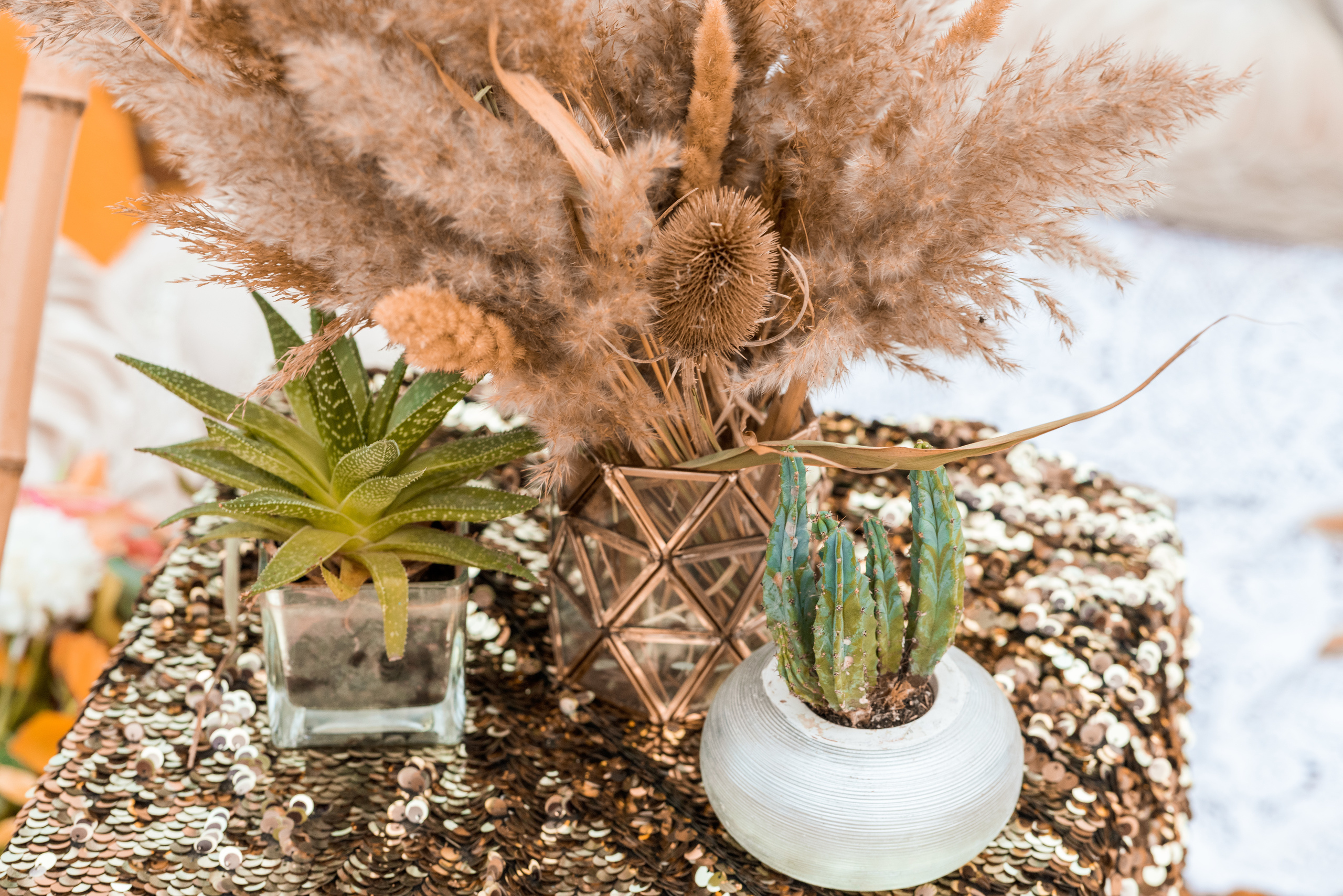 Осенняя прогулка на Фонтанке