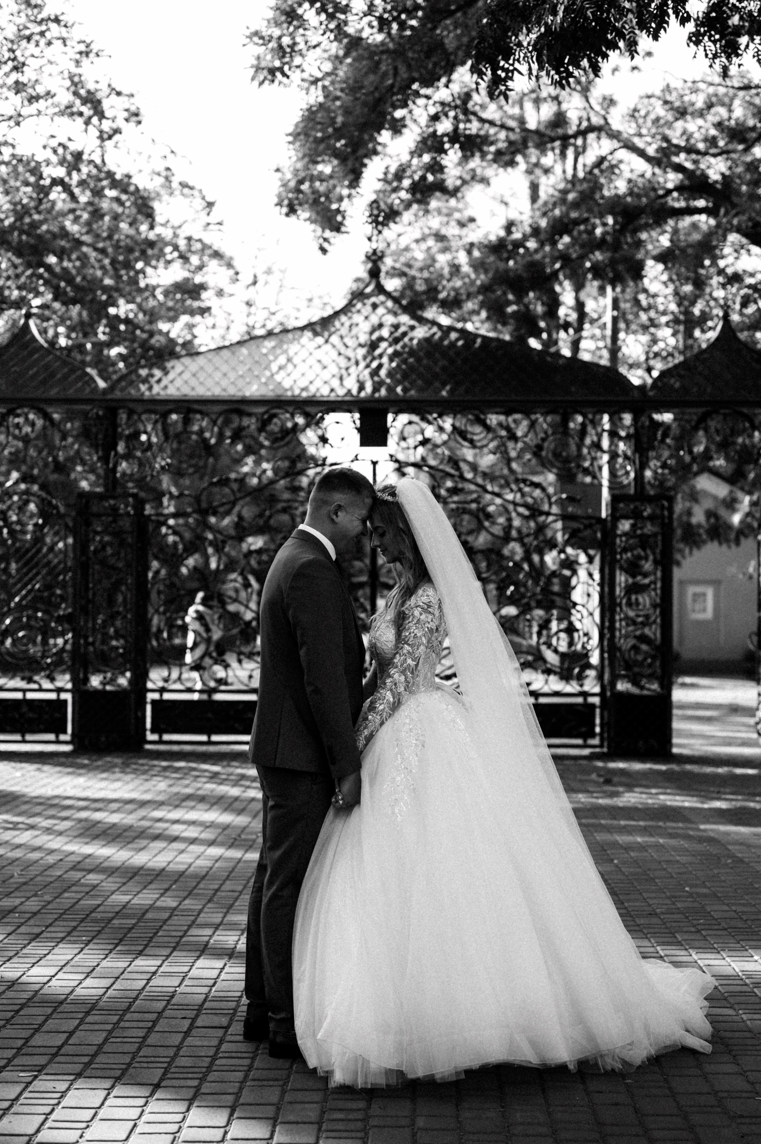 Превью Свадьба Олега и Тани