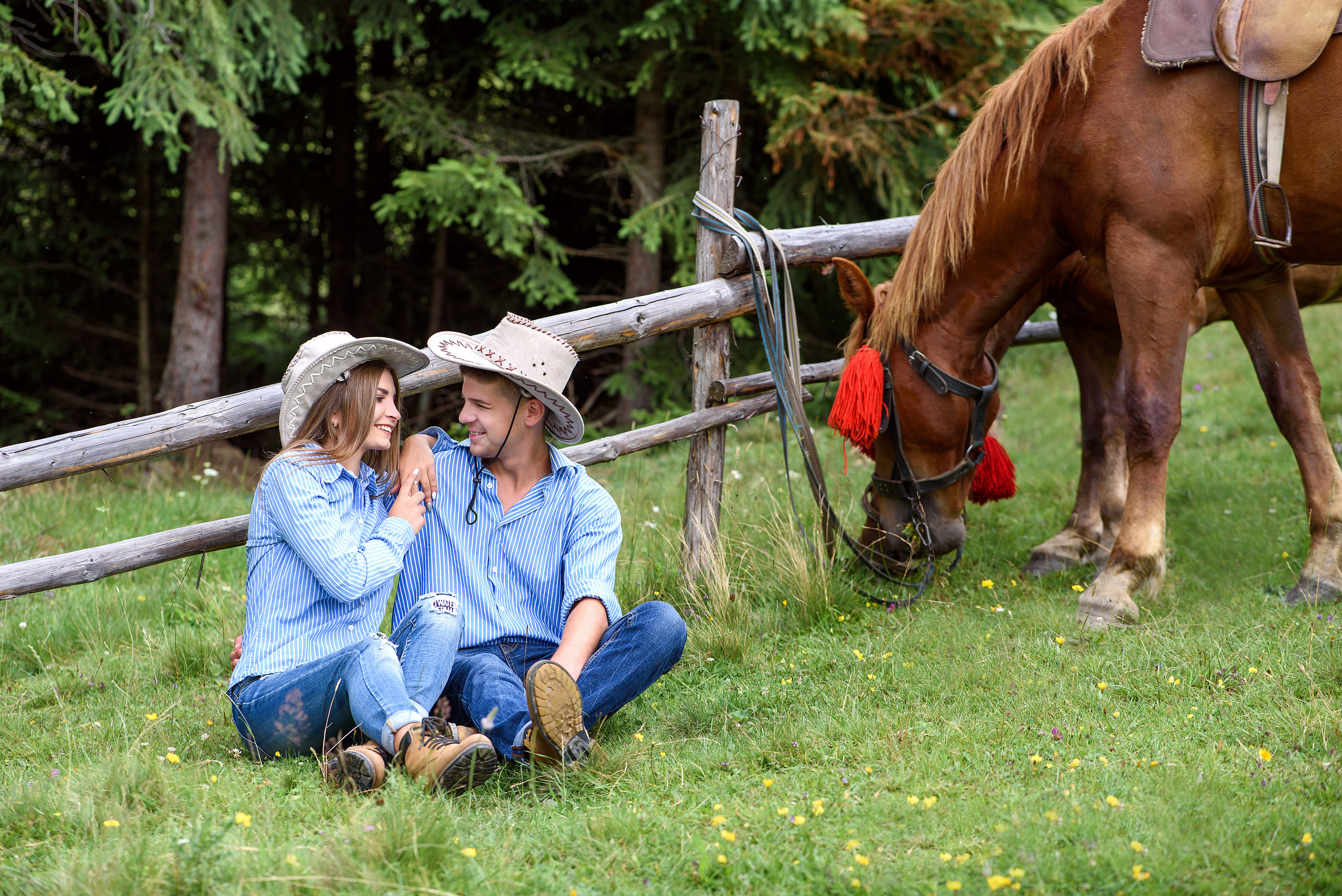 Карпатская история любви