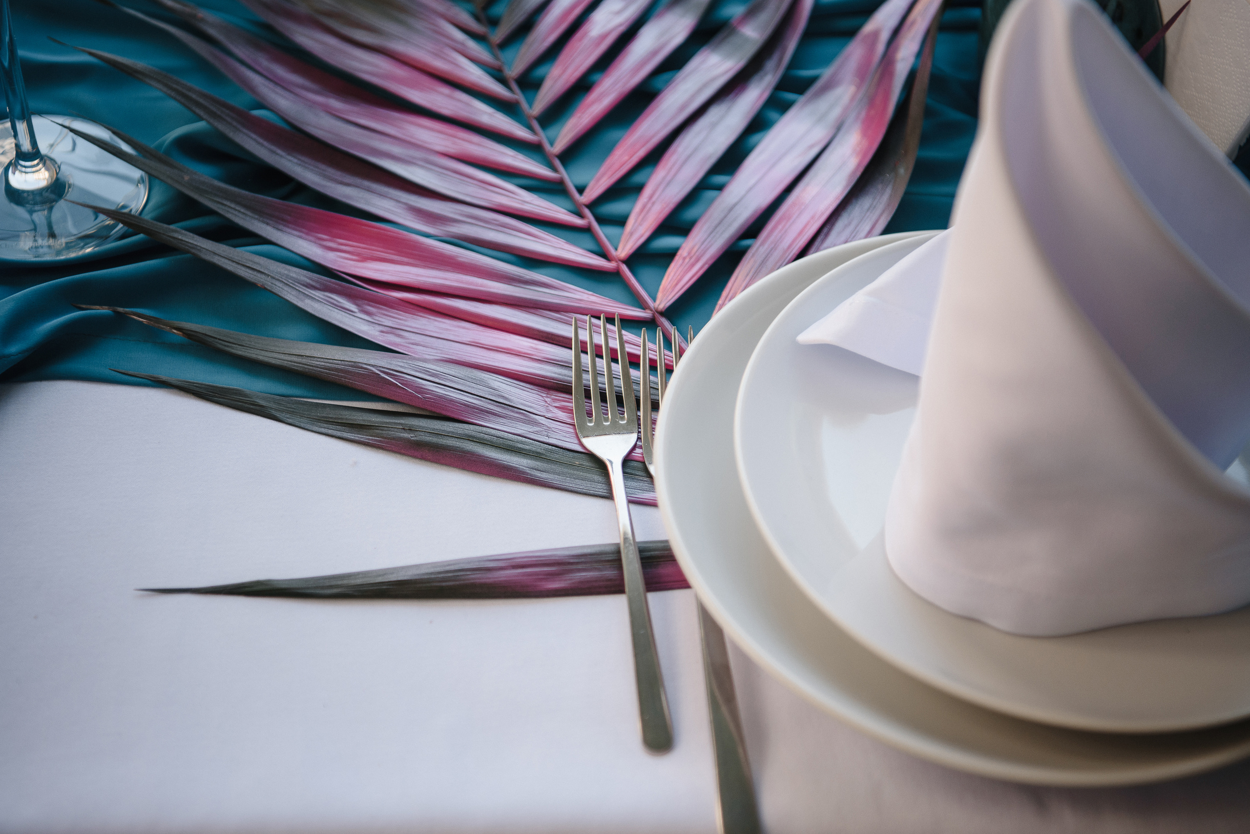 День Рождения Софии 16 лет