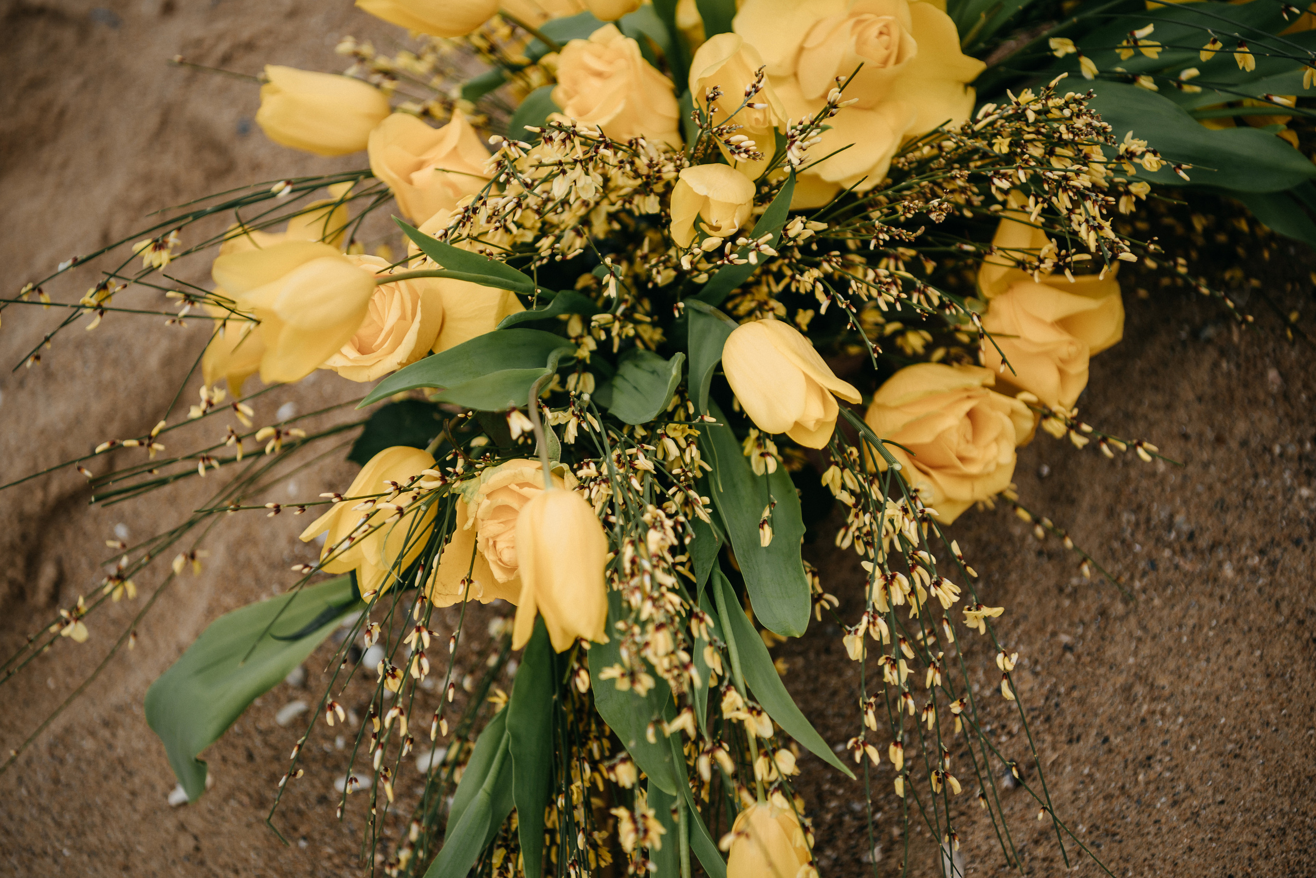 Под куполом