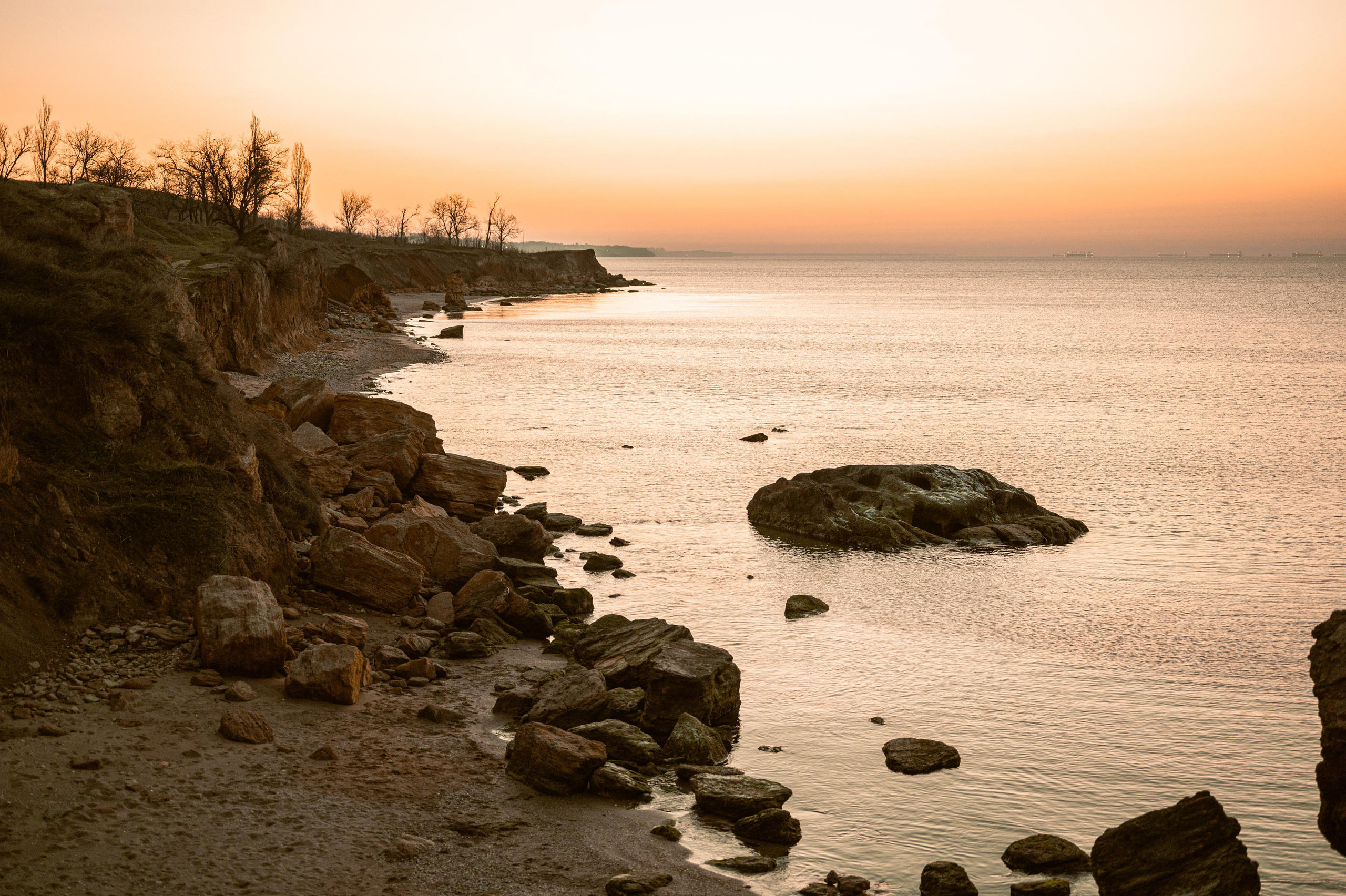 Любовь с нарциссами или рассвет на Фонтанке
