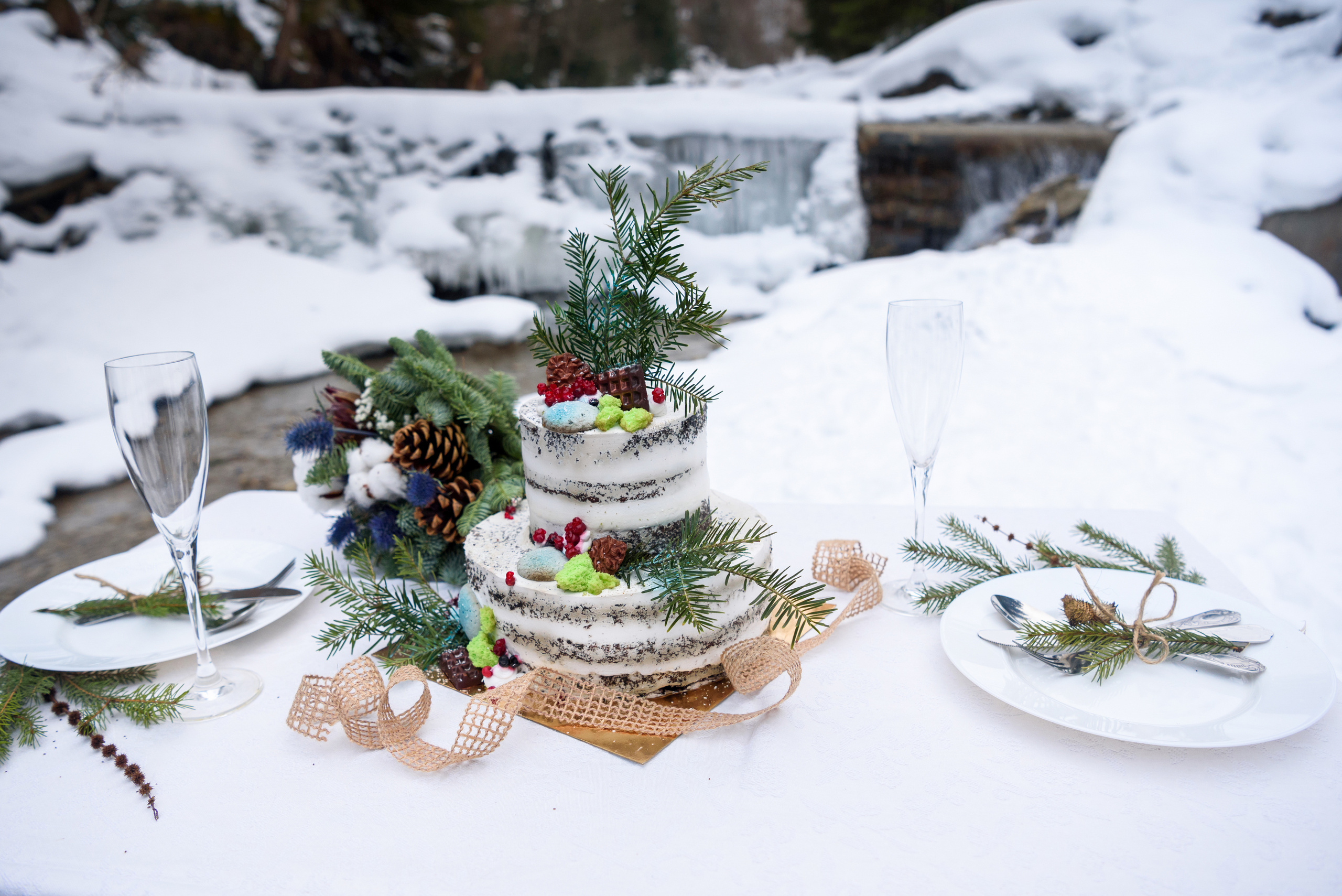 Зимняя свадьба в Карпатах