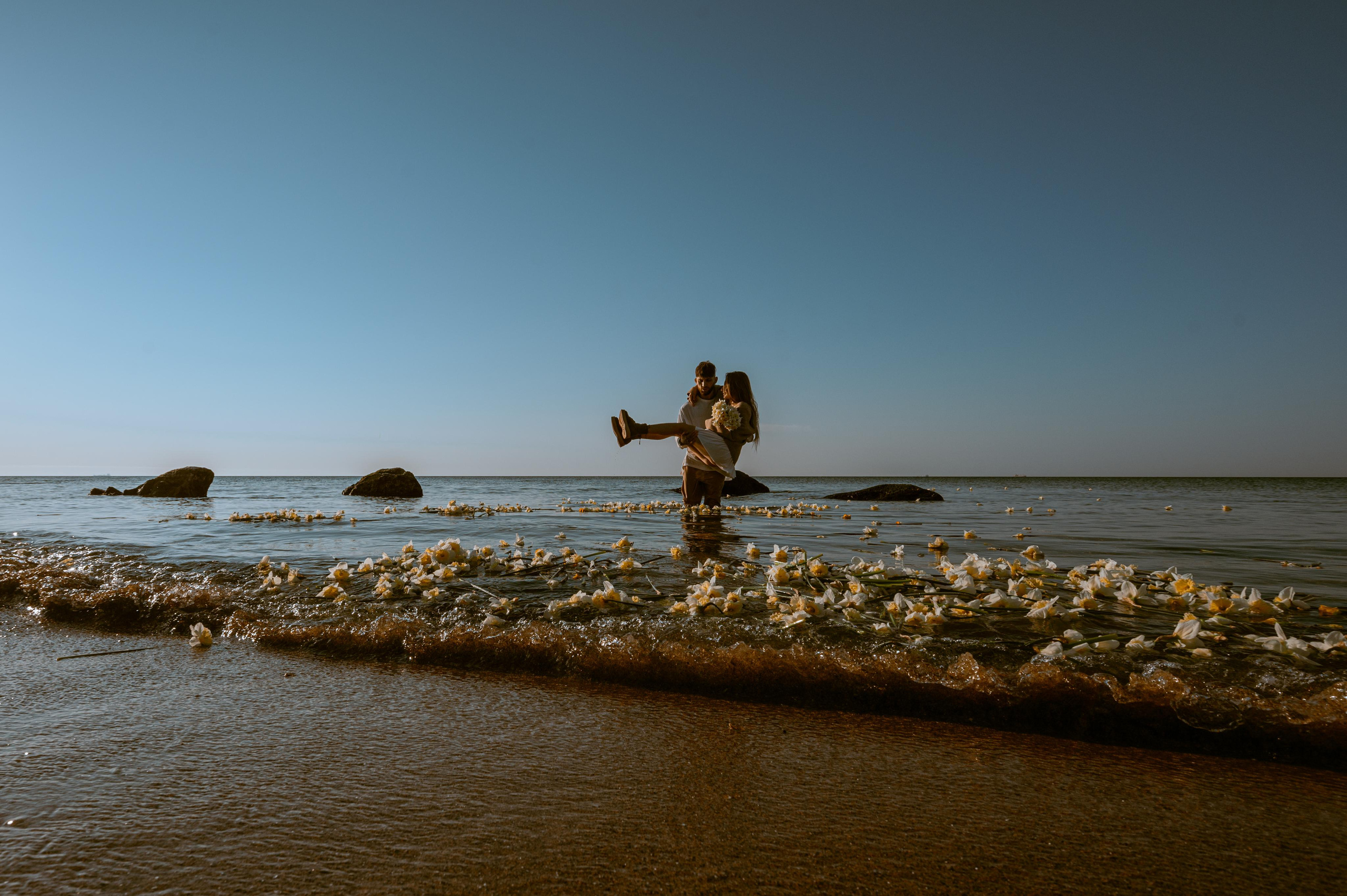 Любовь с нарциссами или рассвет на Фонтанке