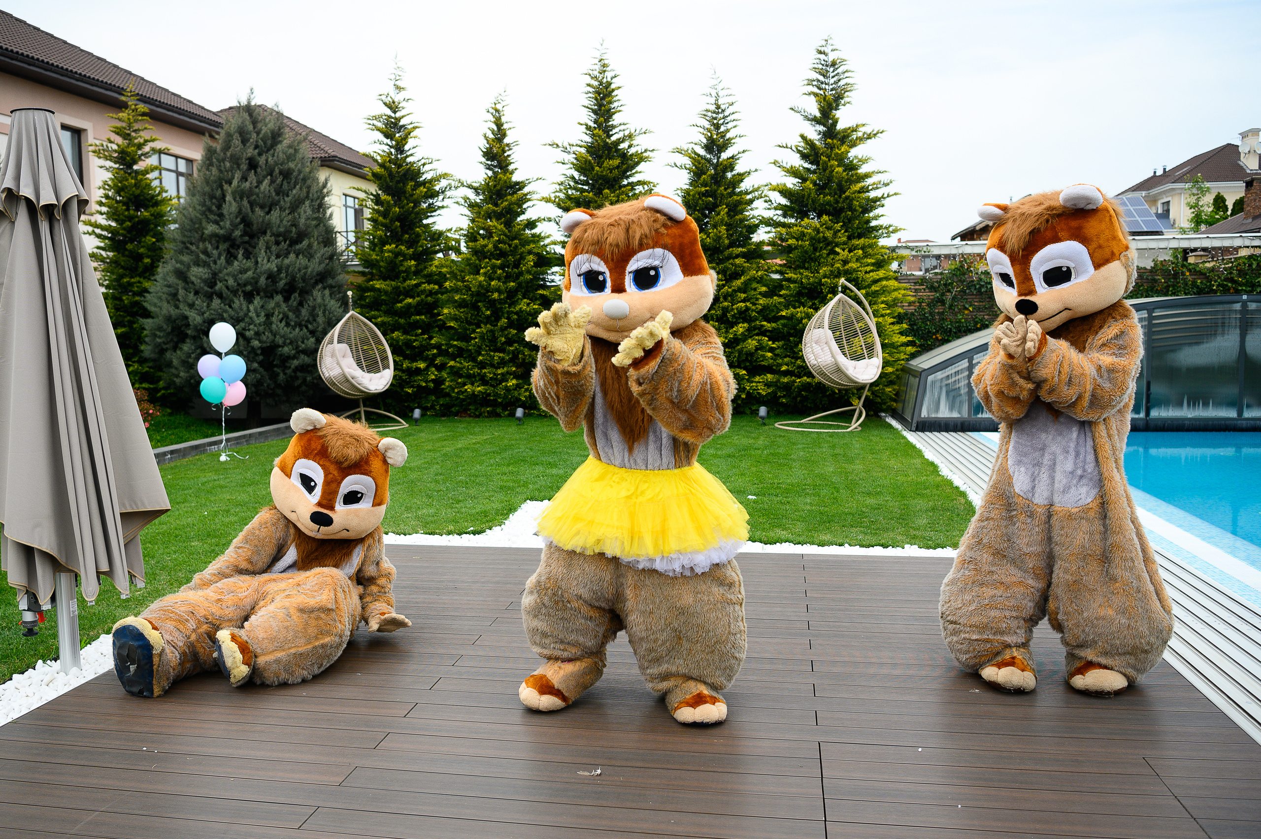 День Рождения Алины