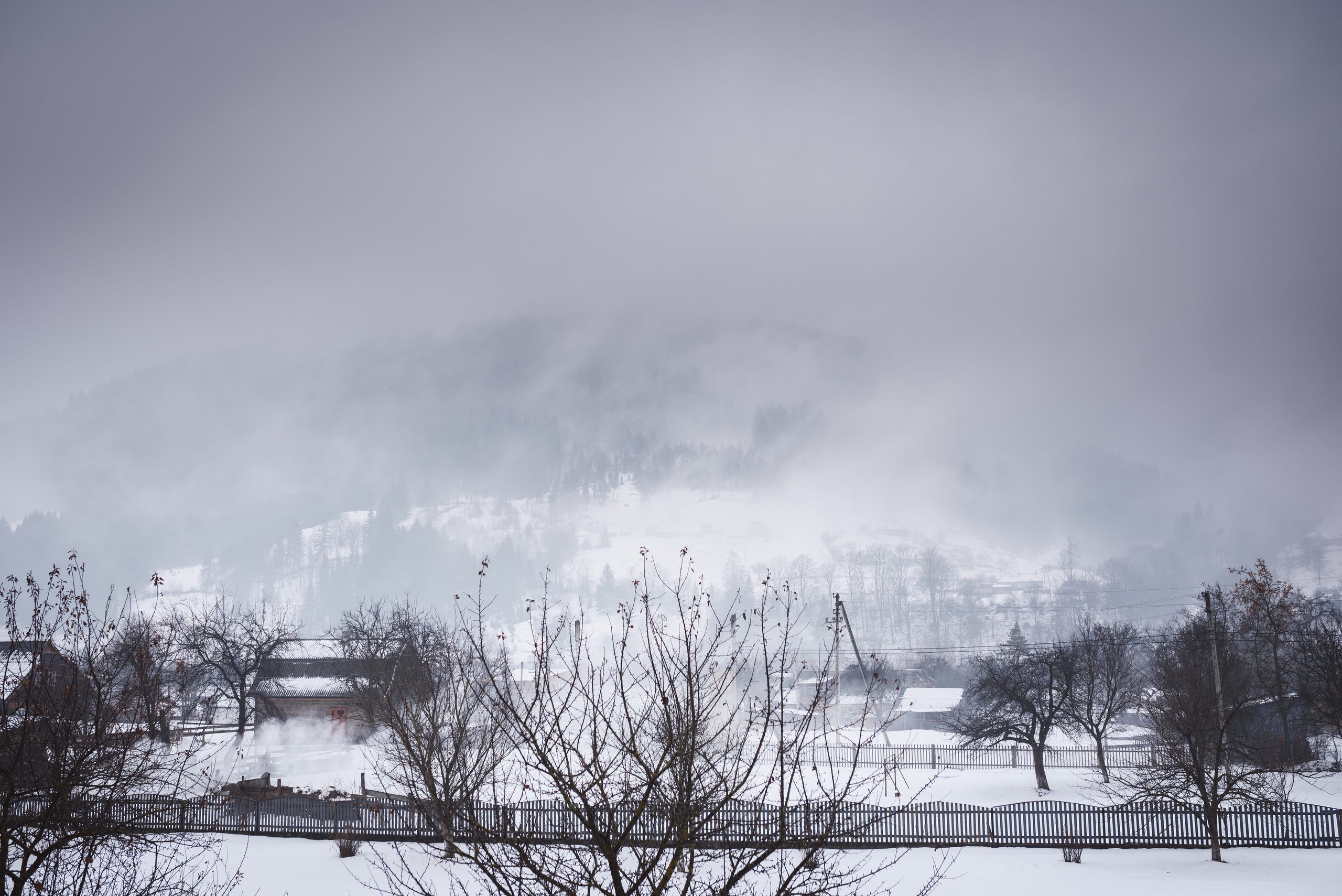 Зимняя свадьба в Карпатах