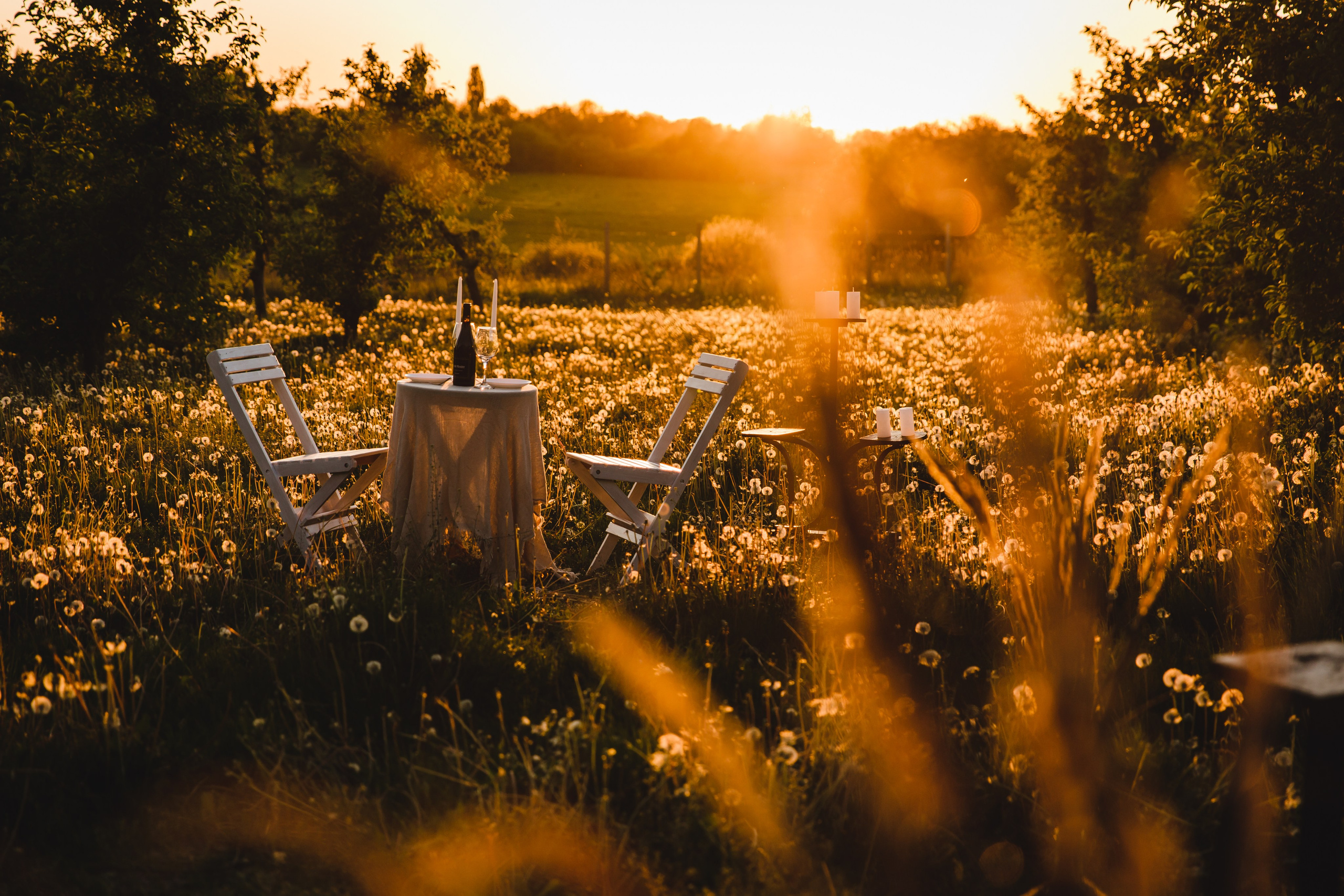 Wedding day Альони та Андрія. Ваш фотограф в Іллінцях, Вінниці, Немирові та Липовці