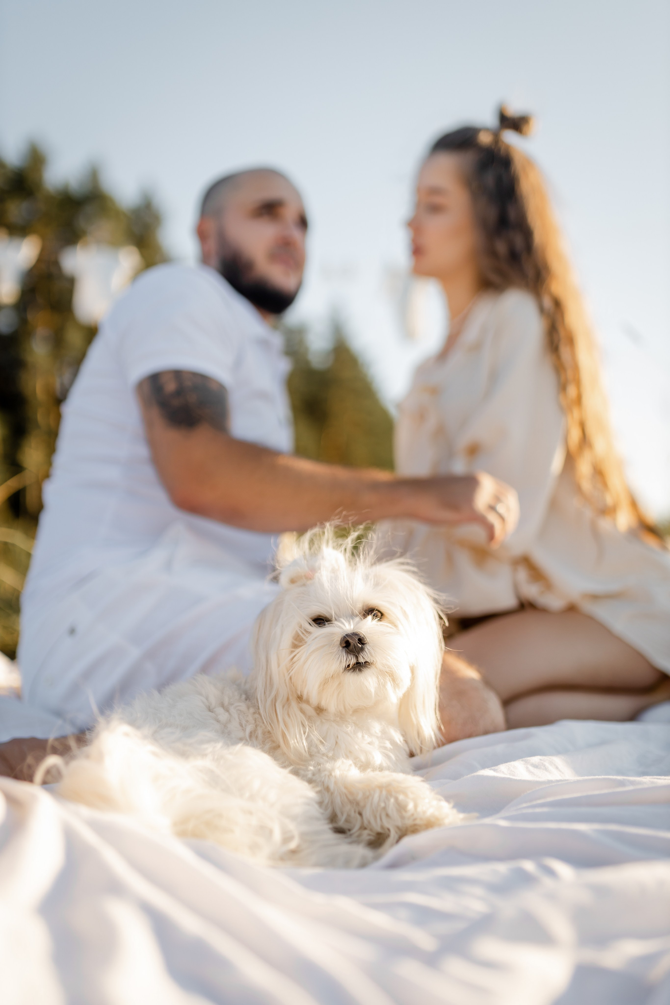 Вагітність. Ваш фотограф в Іллінцях, Вінниці, Немирові та Липовці