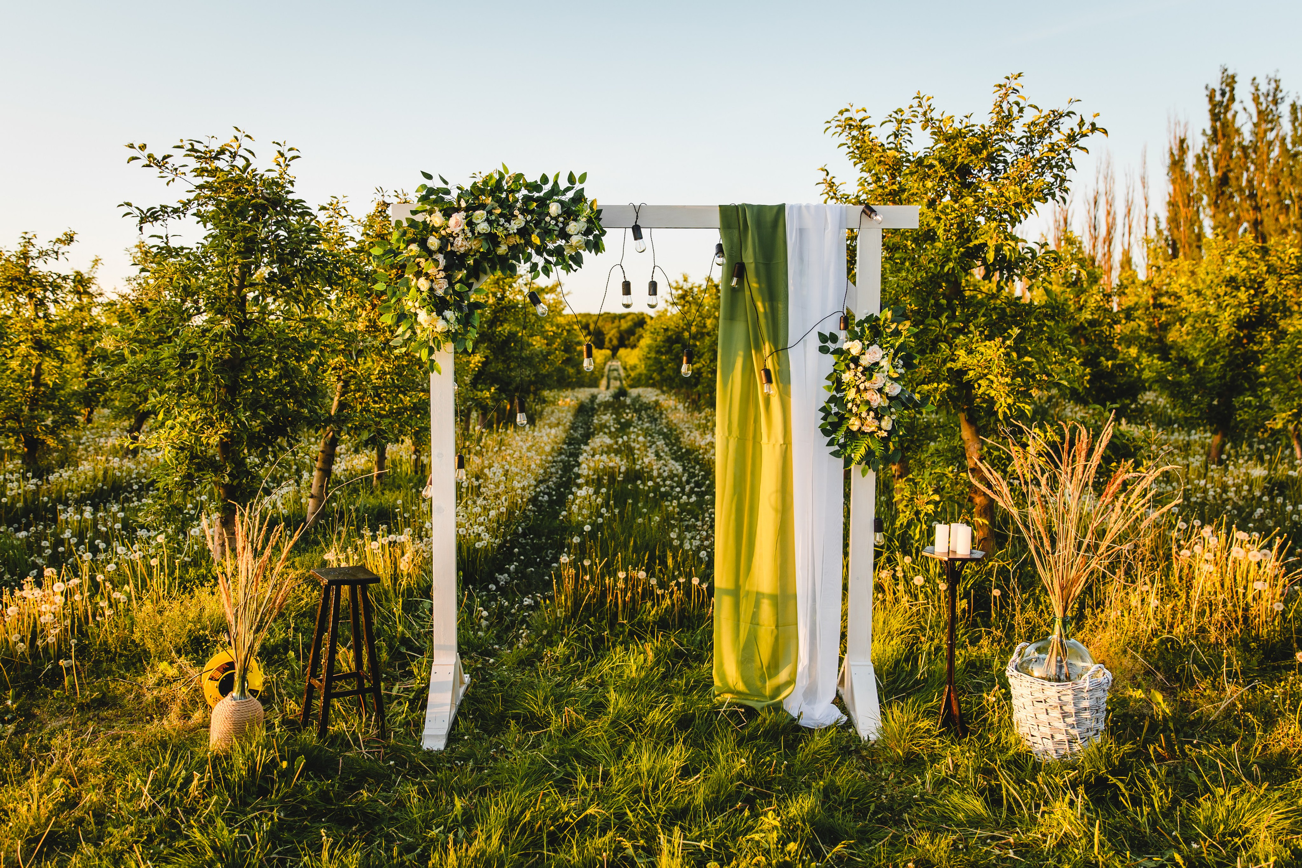 Wedding day Альони та Андрія. Ваш фотограф в Іллінцях, Вінниці, Немирові та Липовці
