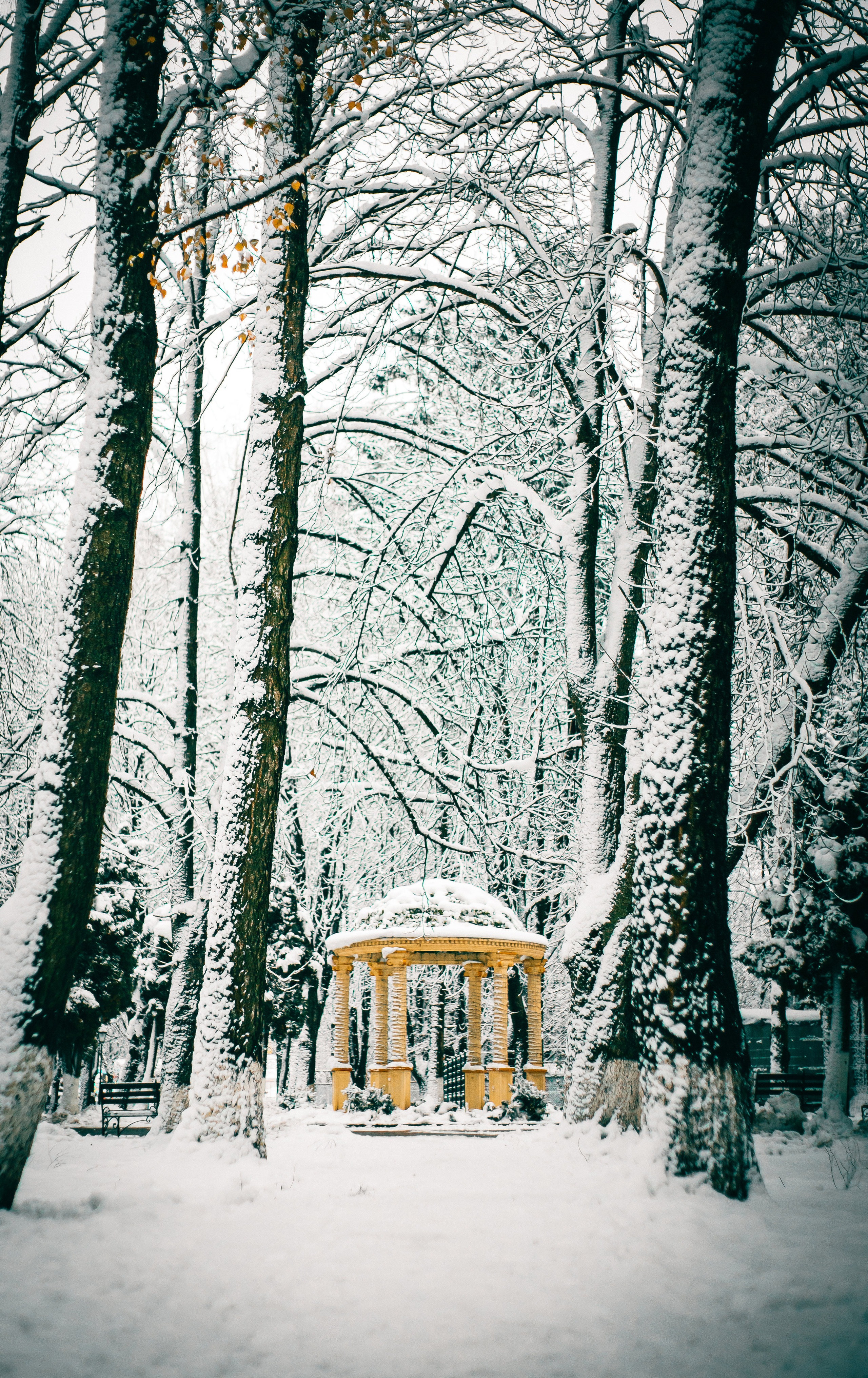 Маленька Україна