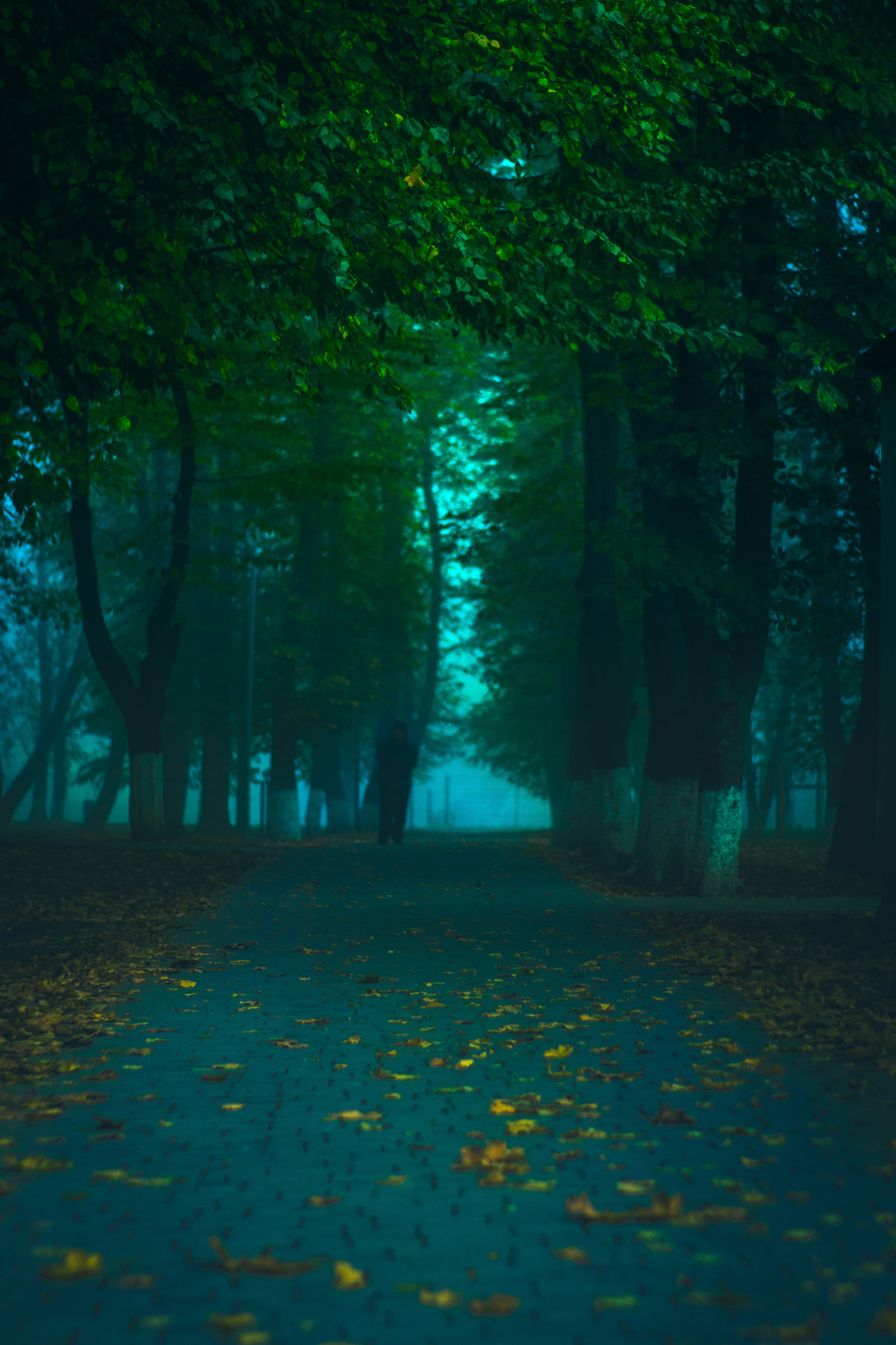 Маленька Україна