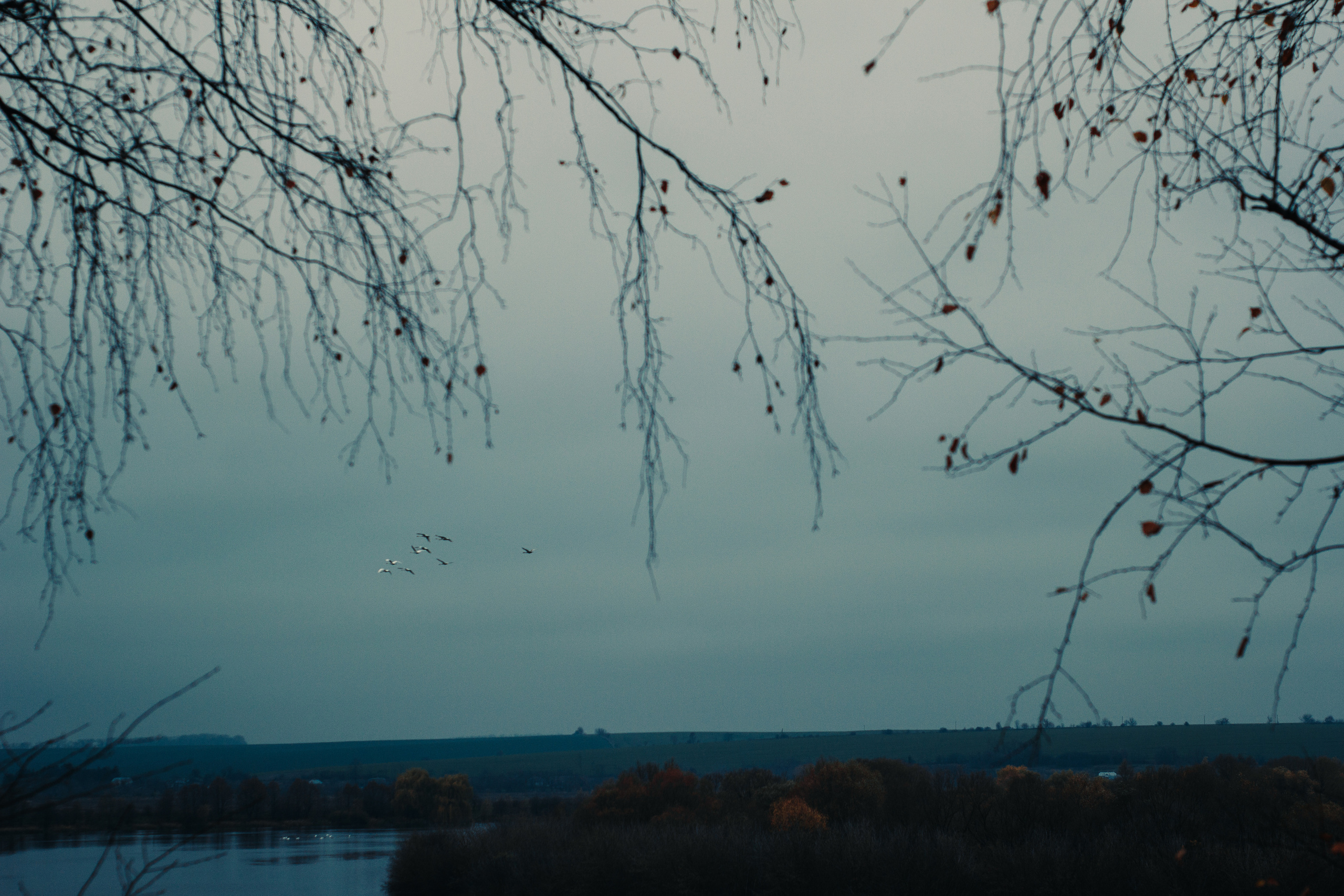 Маленька Україна