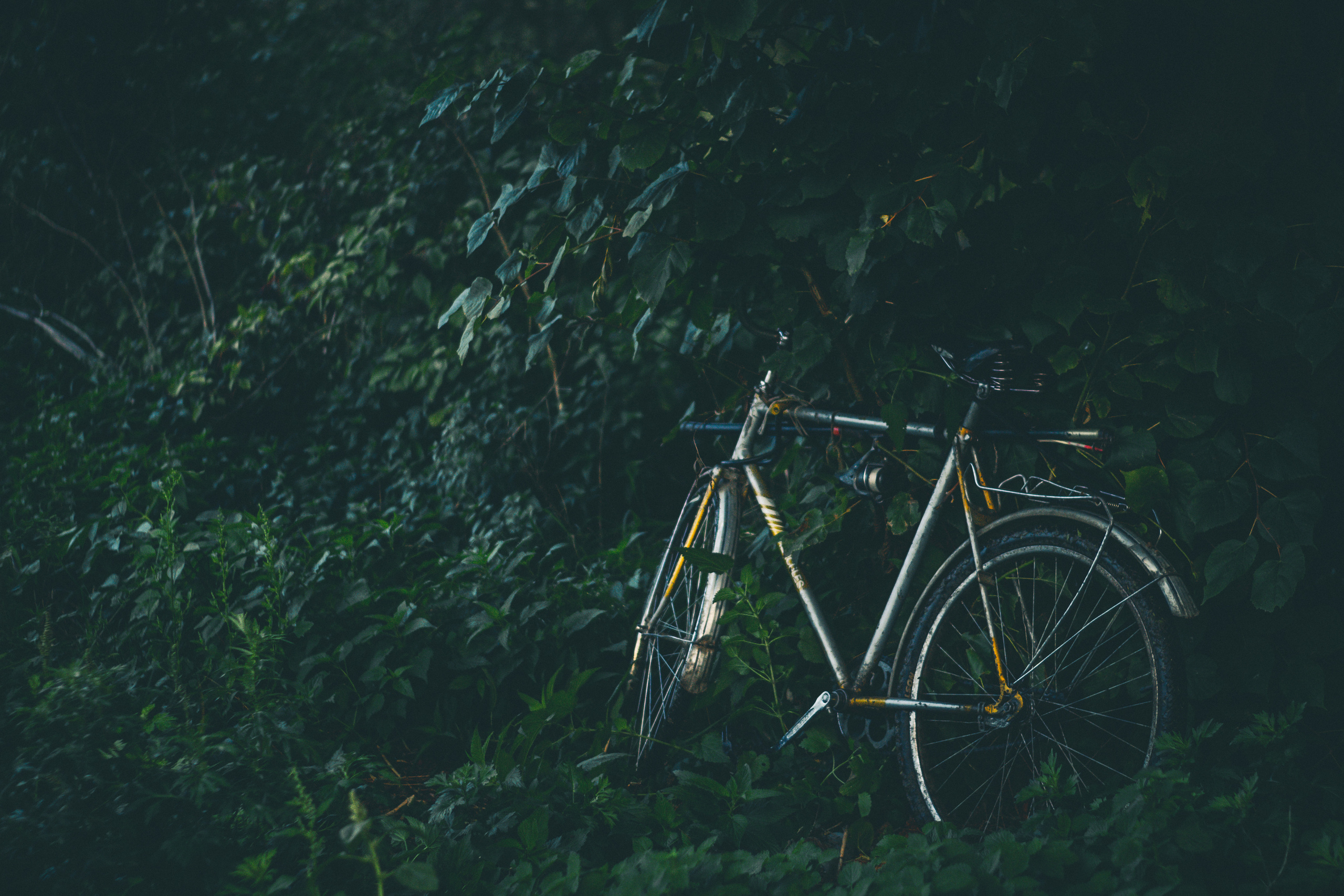 Маленька Україна