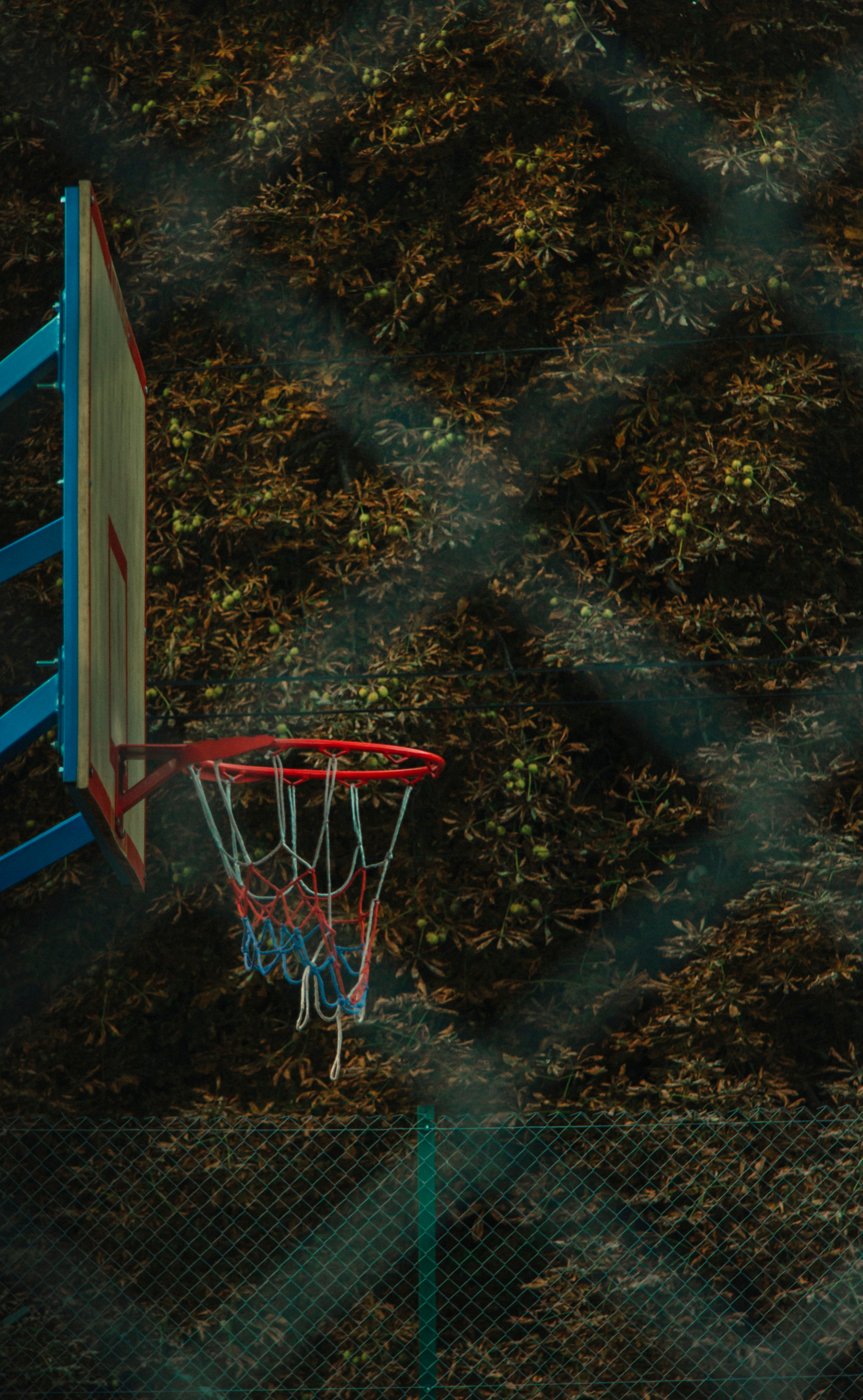 Маленька Україна