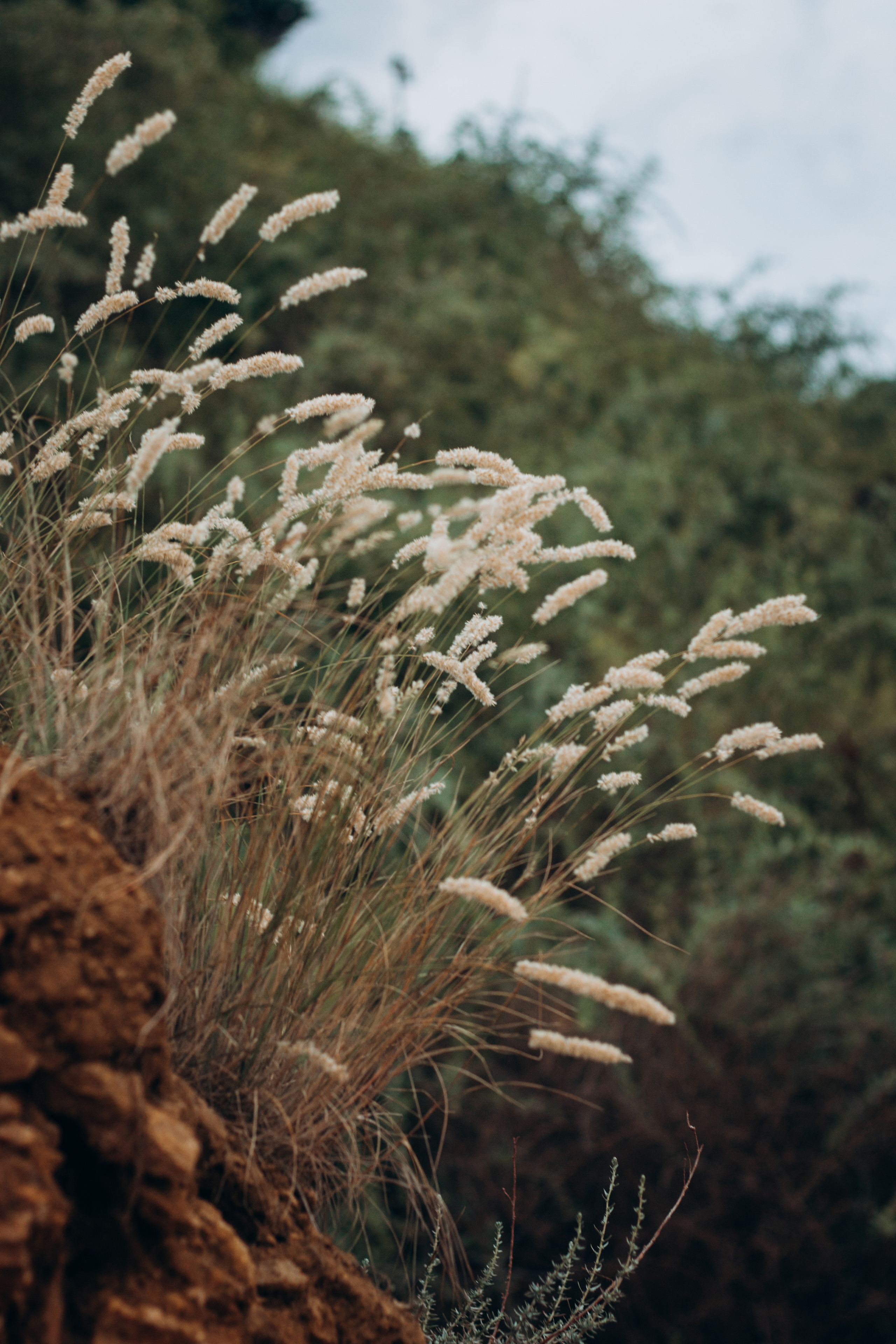 Sergey&Оlga. Анна Бойко, фотограф Германия