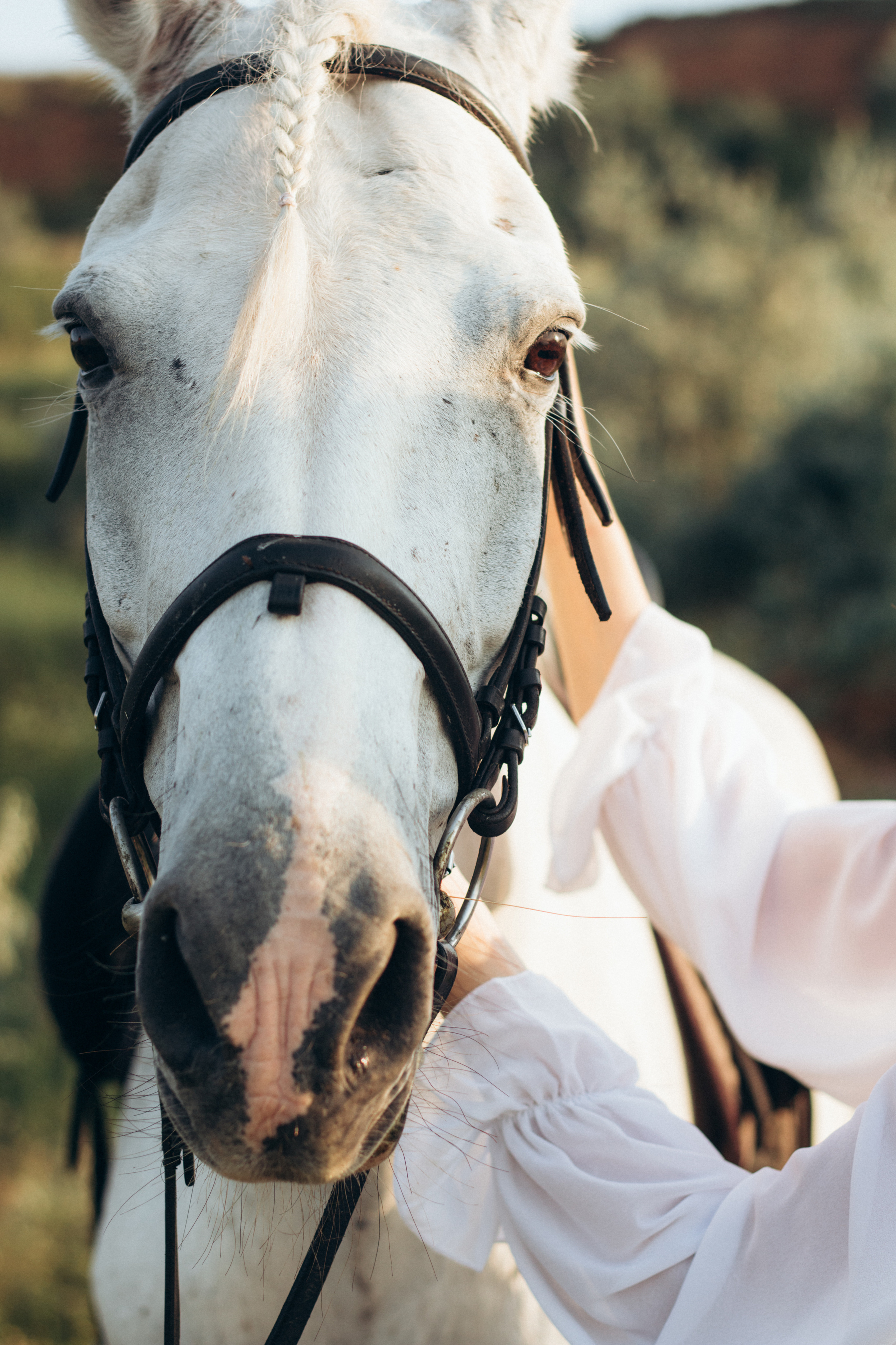 Marina. Анна Бойко, фотограф Германия