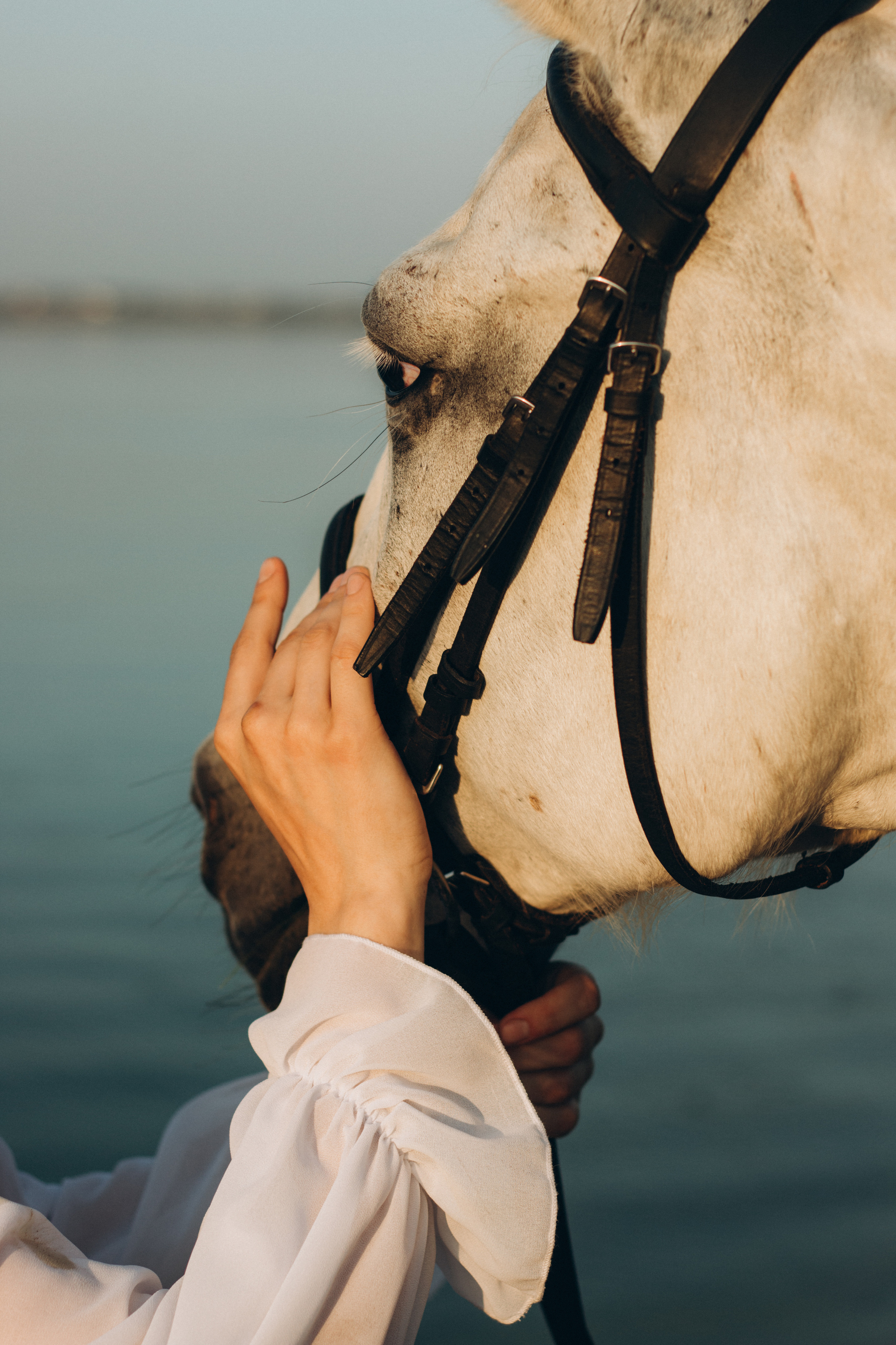 Marina. Анна Бойко, фотограф Германия