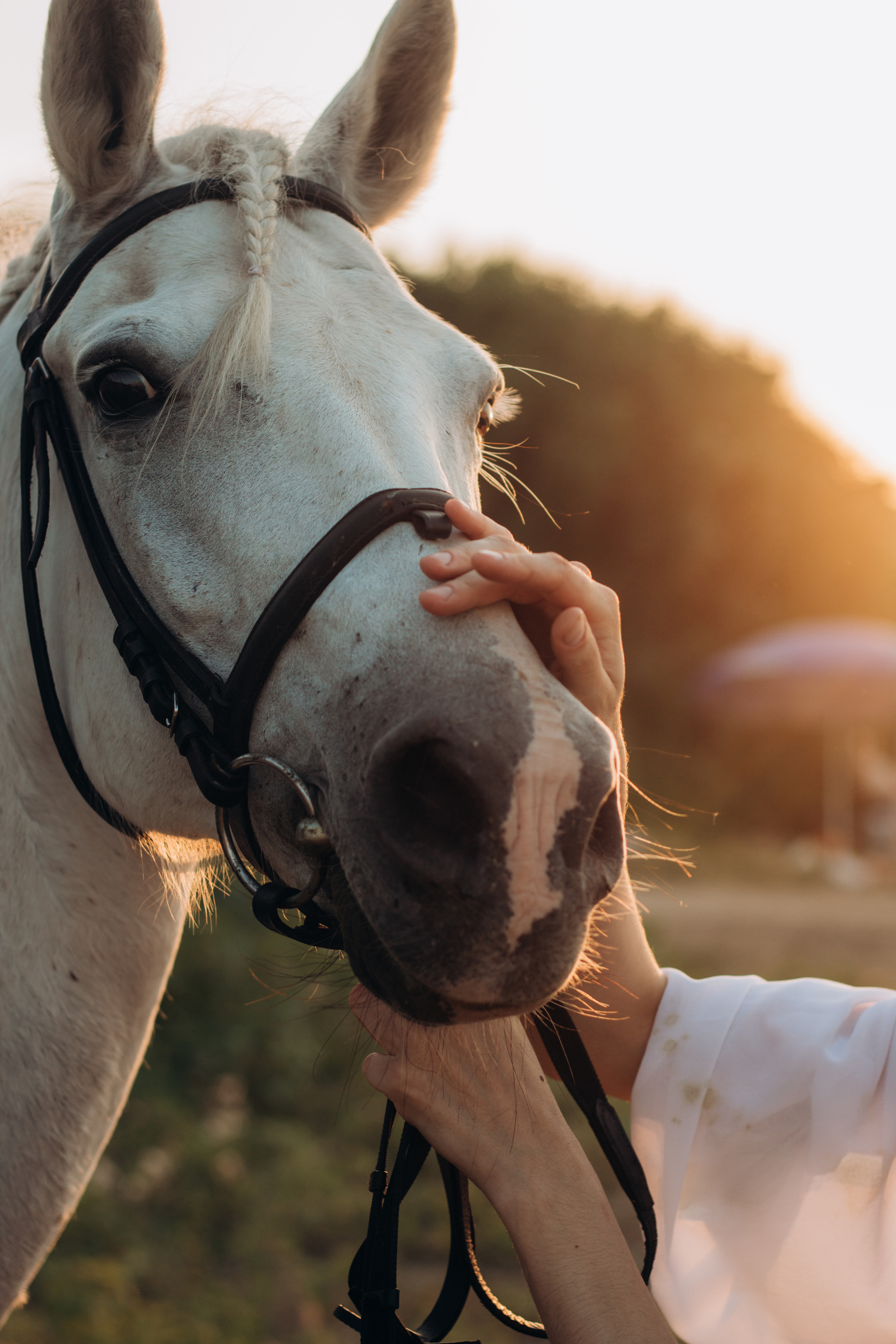 Marina. Анна Бойко, фотограф Германия