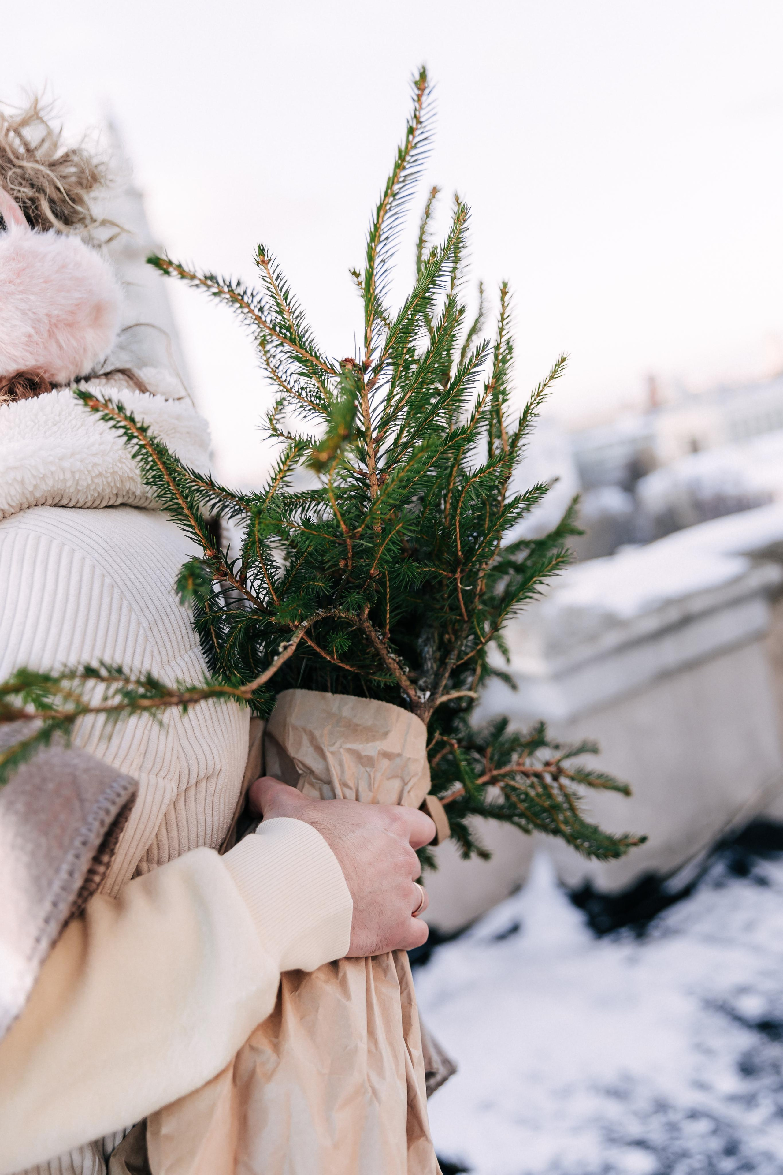 A winter fairy tale in the city center. Wedding and family photographer