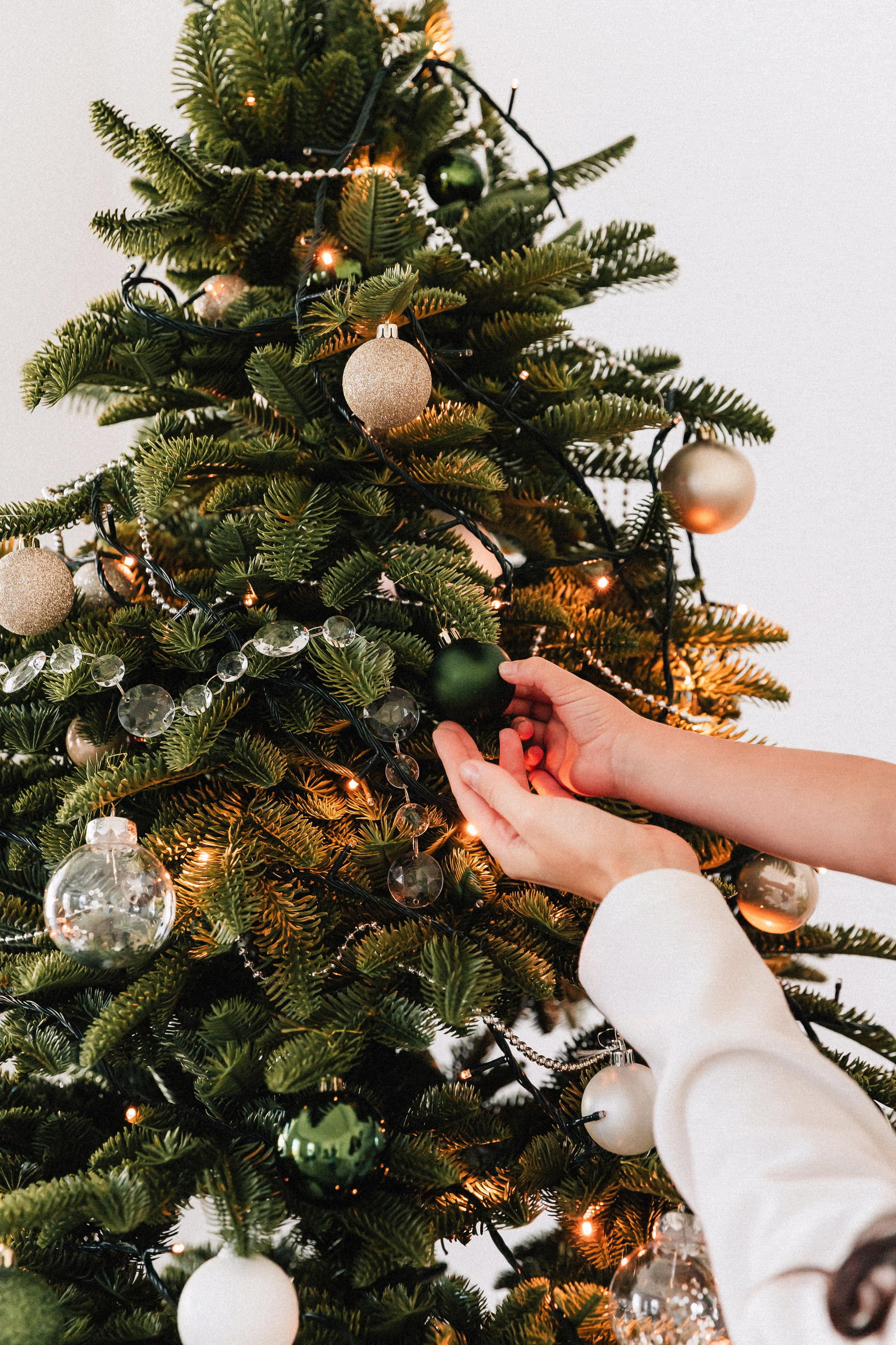 Aliona. Wedding and family photographer