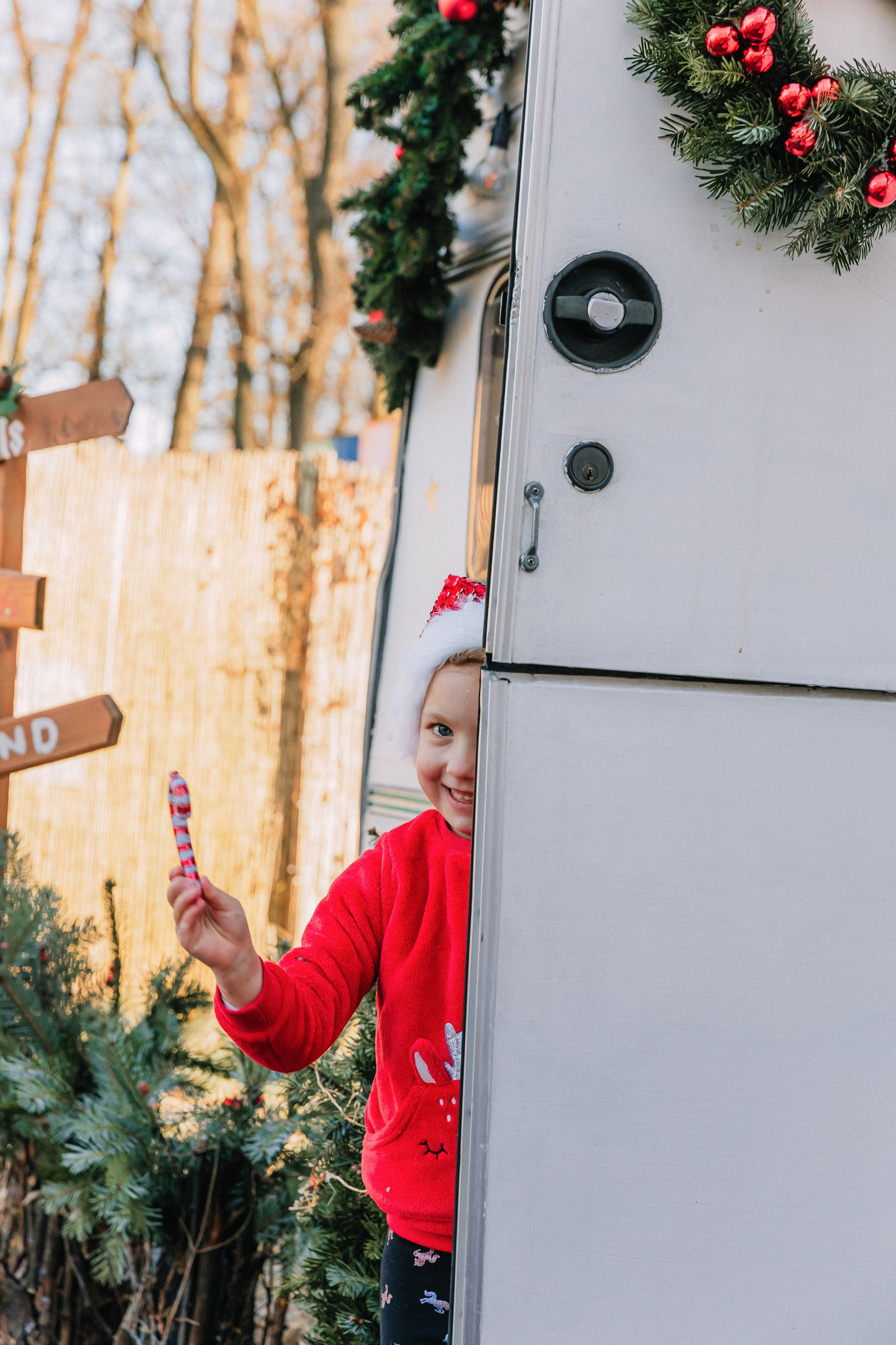 Dasha, Alina. Wedding and family photographer