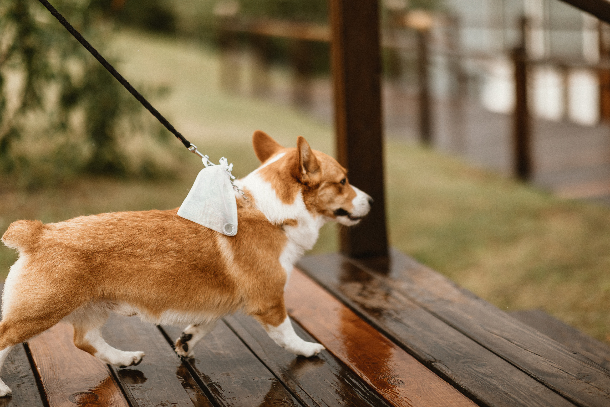 Anna & Max. Свадебный фотограф в Киеве Дубовская Полина