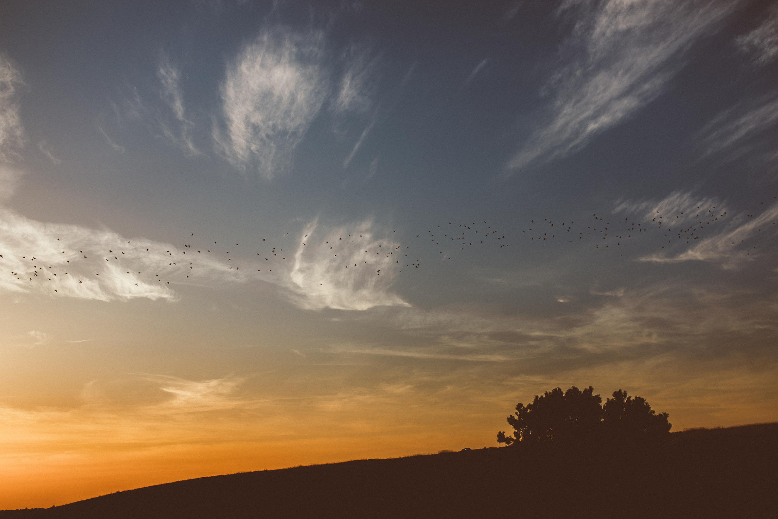 Миша Жанна Тёма и Варвара. Свадебный фотограф в Киеве Дубовская Полина
