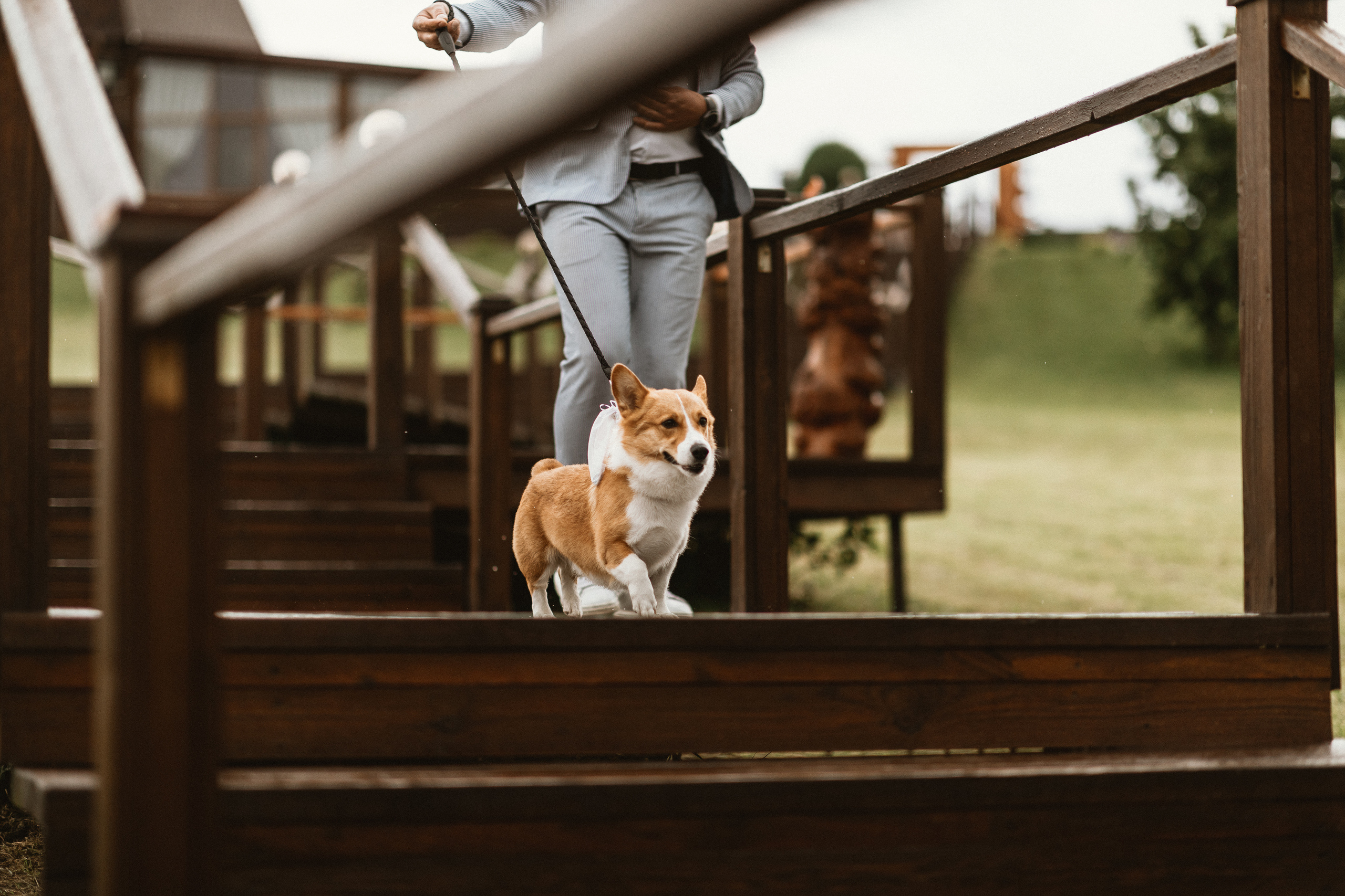 Anna & Max. Свадебный фотограф в Киеве Дубовская Полина