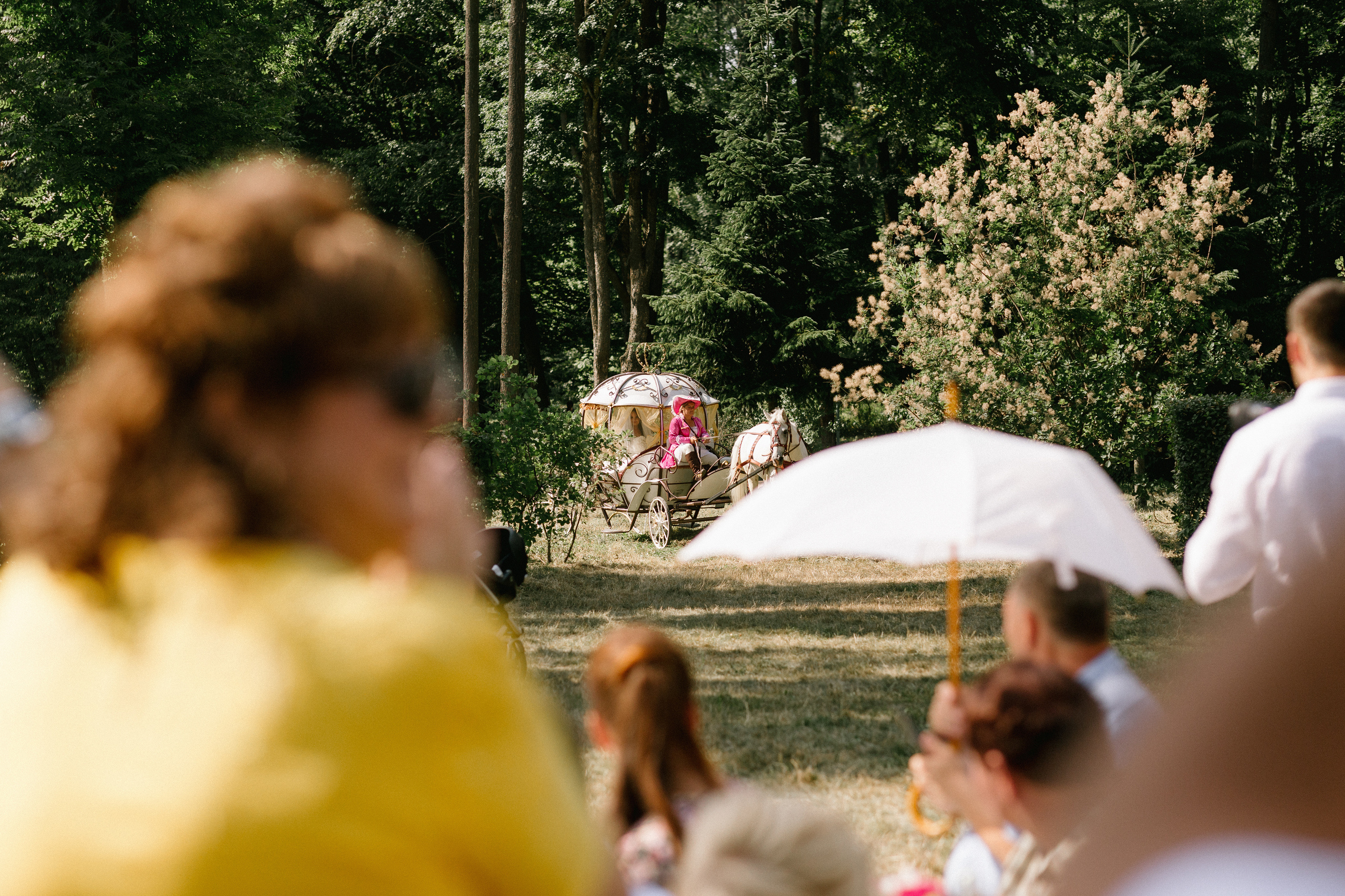 Sergey & Vika. Свадебный фотограф в Киеве Дубовская Полина