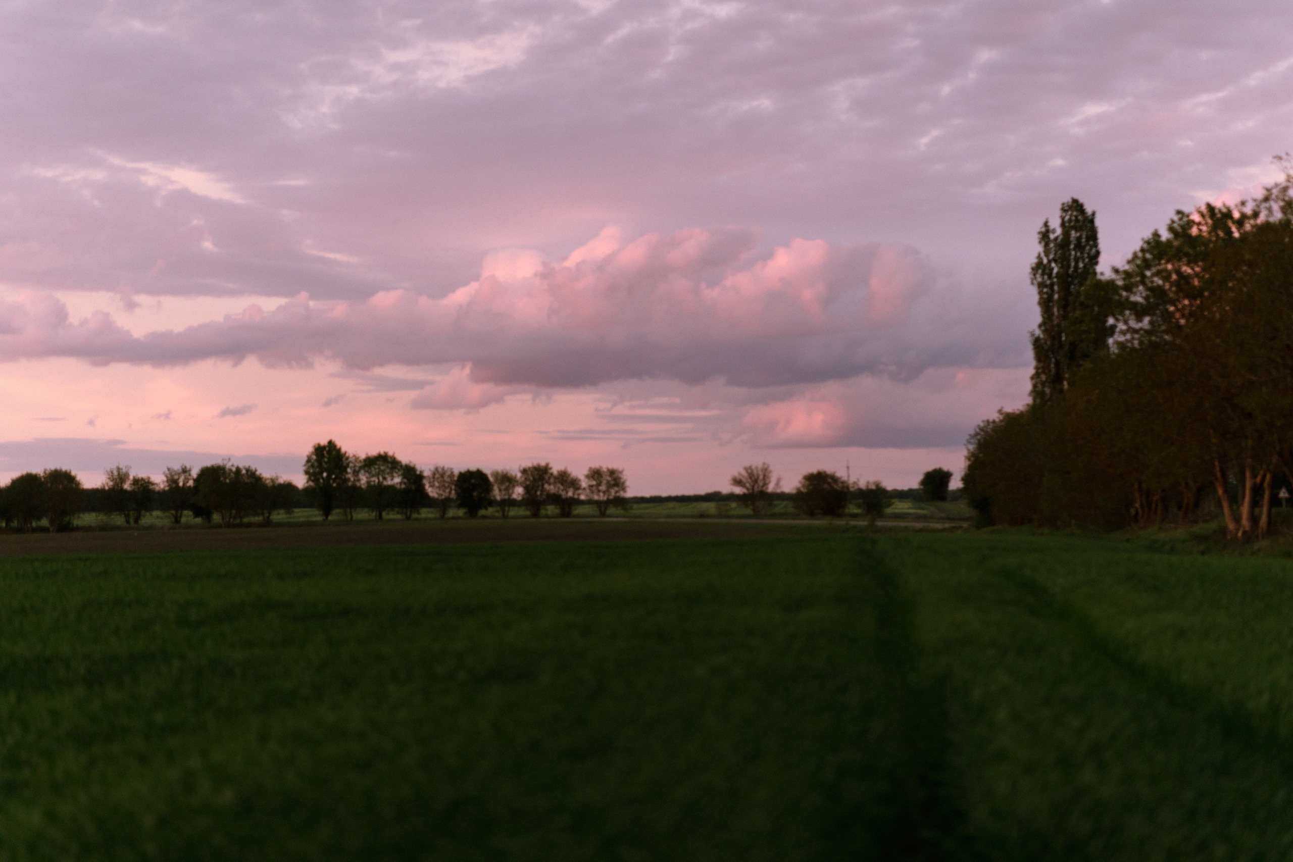 Tanya. Свадебный фотограф в Киеве Дубовская Полина