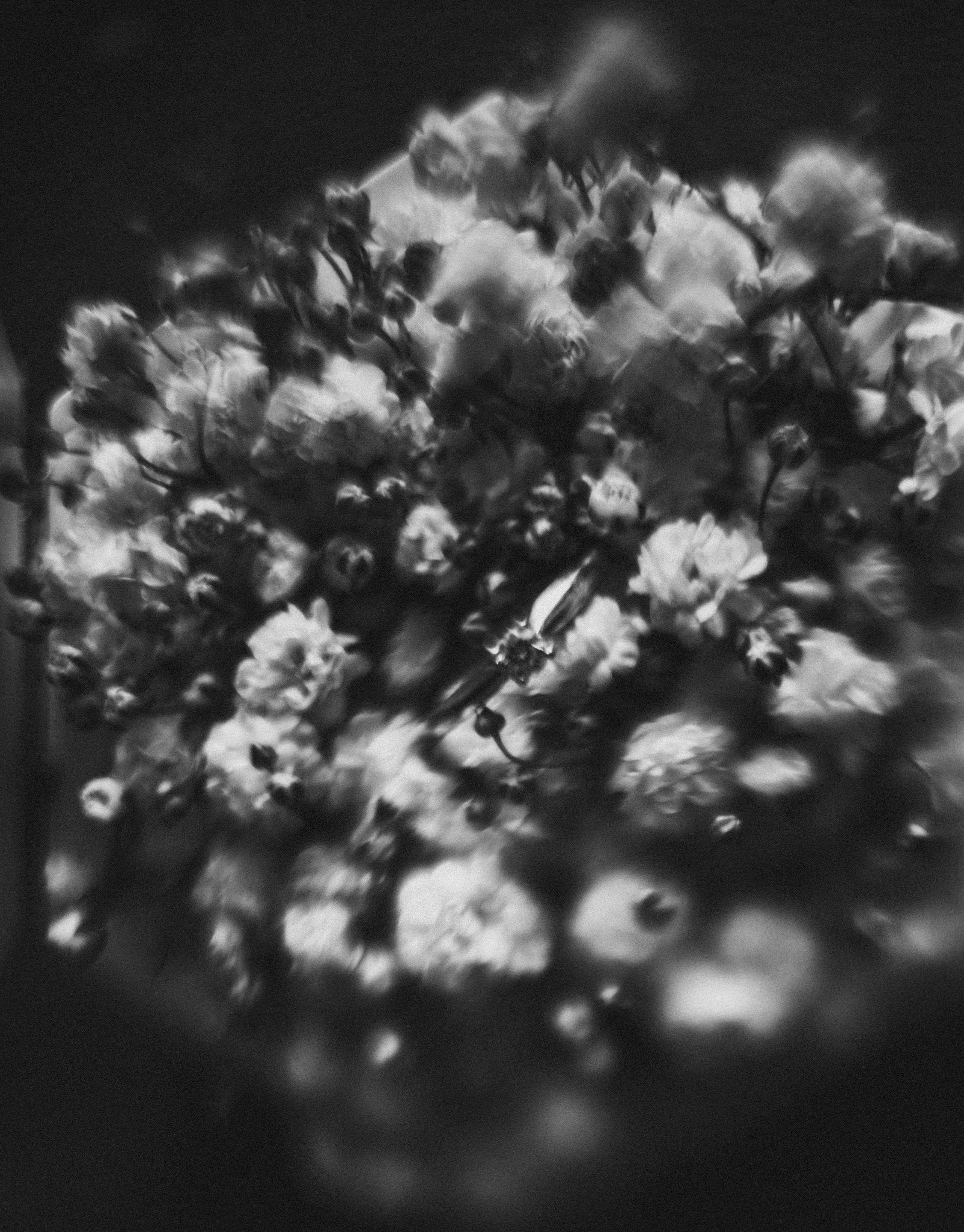 Varya & Igor. Свадебный фотограф в Киеве Дубовская Полина