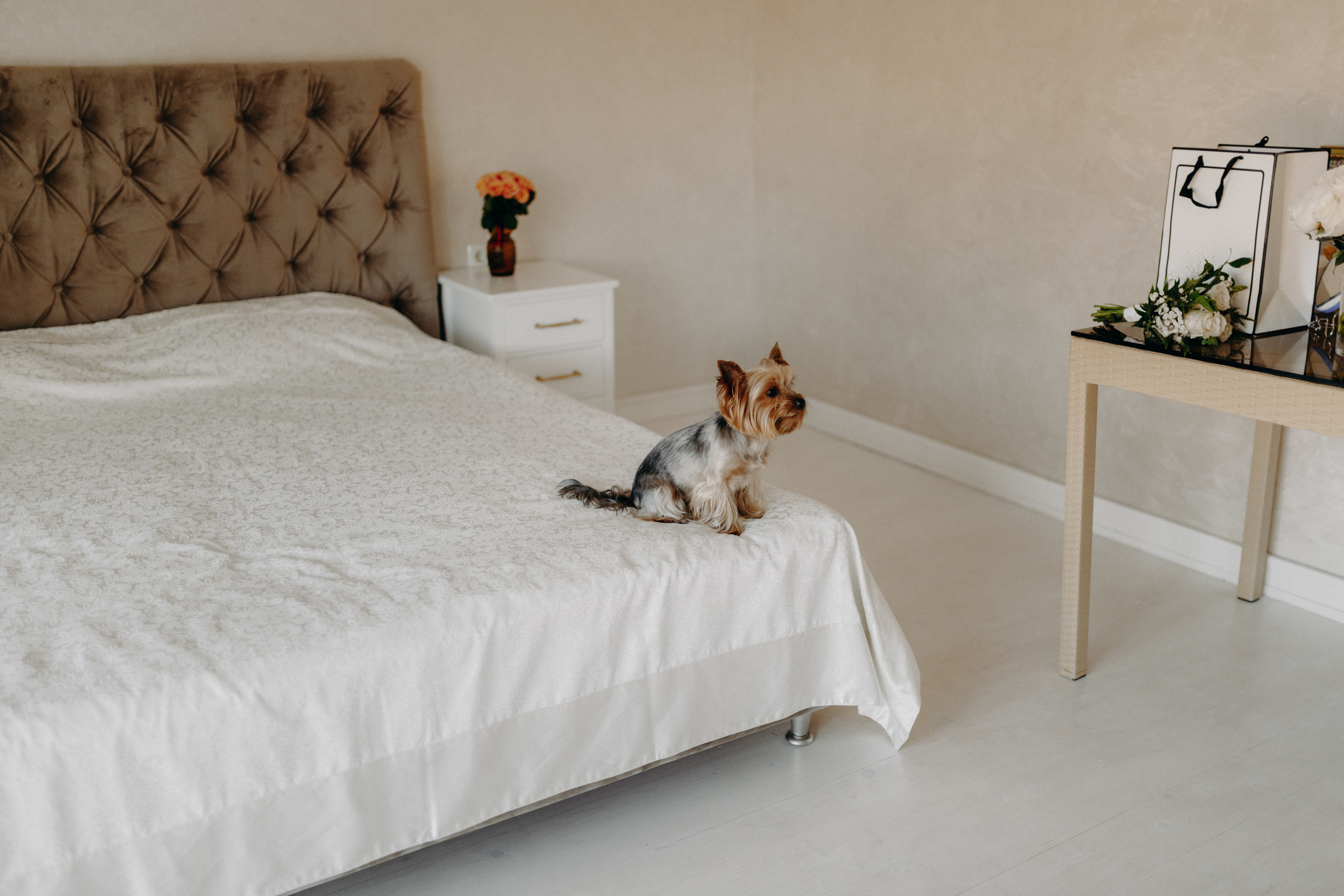 Anna & Zhenya. Свадебный фотограф в Киеве Дубовская Полина