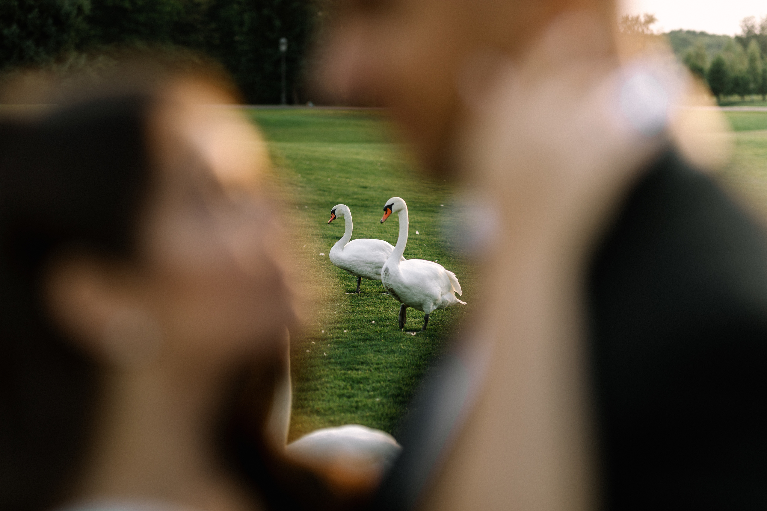Anna & Zhenya. Свадебный фотограф в Киеве Дубовская Полина