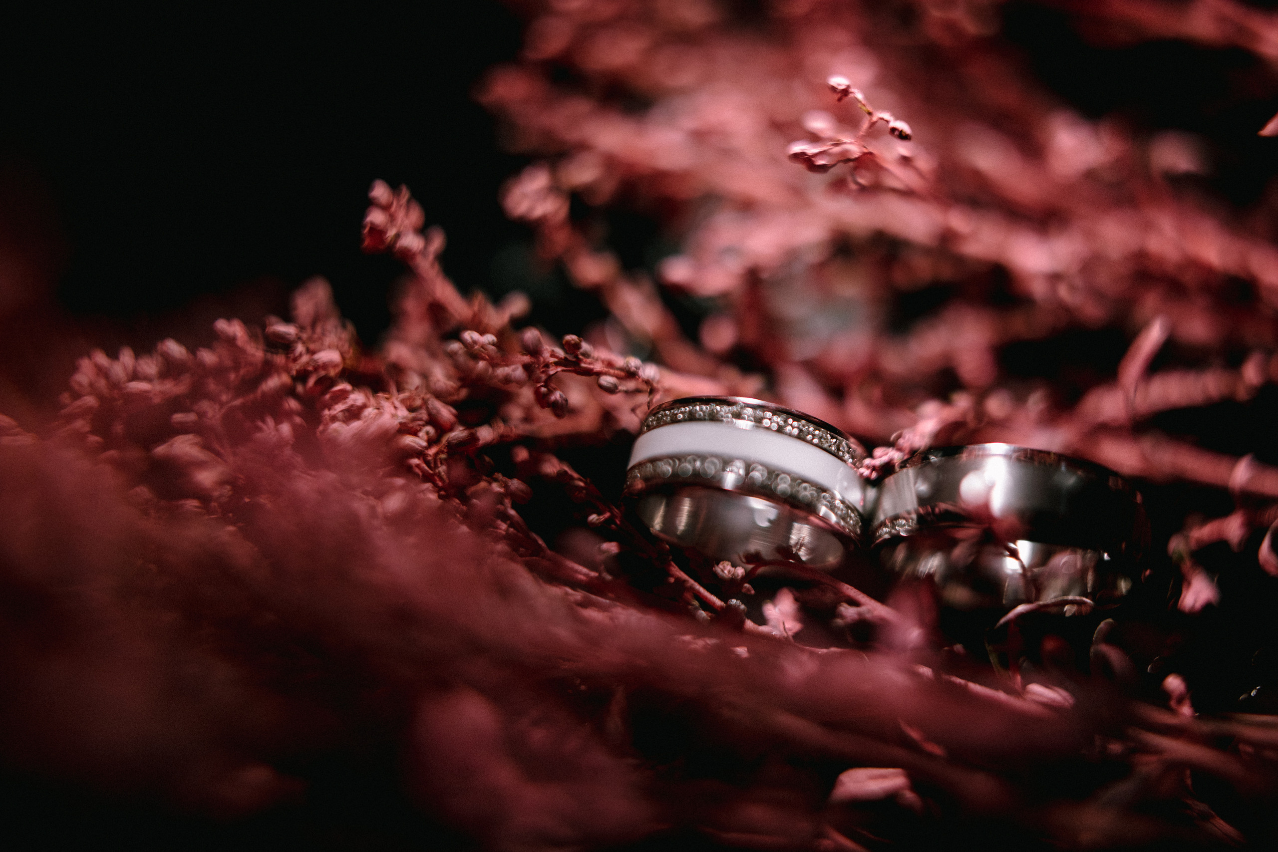 Olya & Artem. Свадебный фотограф в Киеве Дубовская Полина