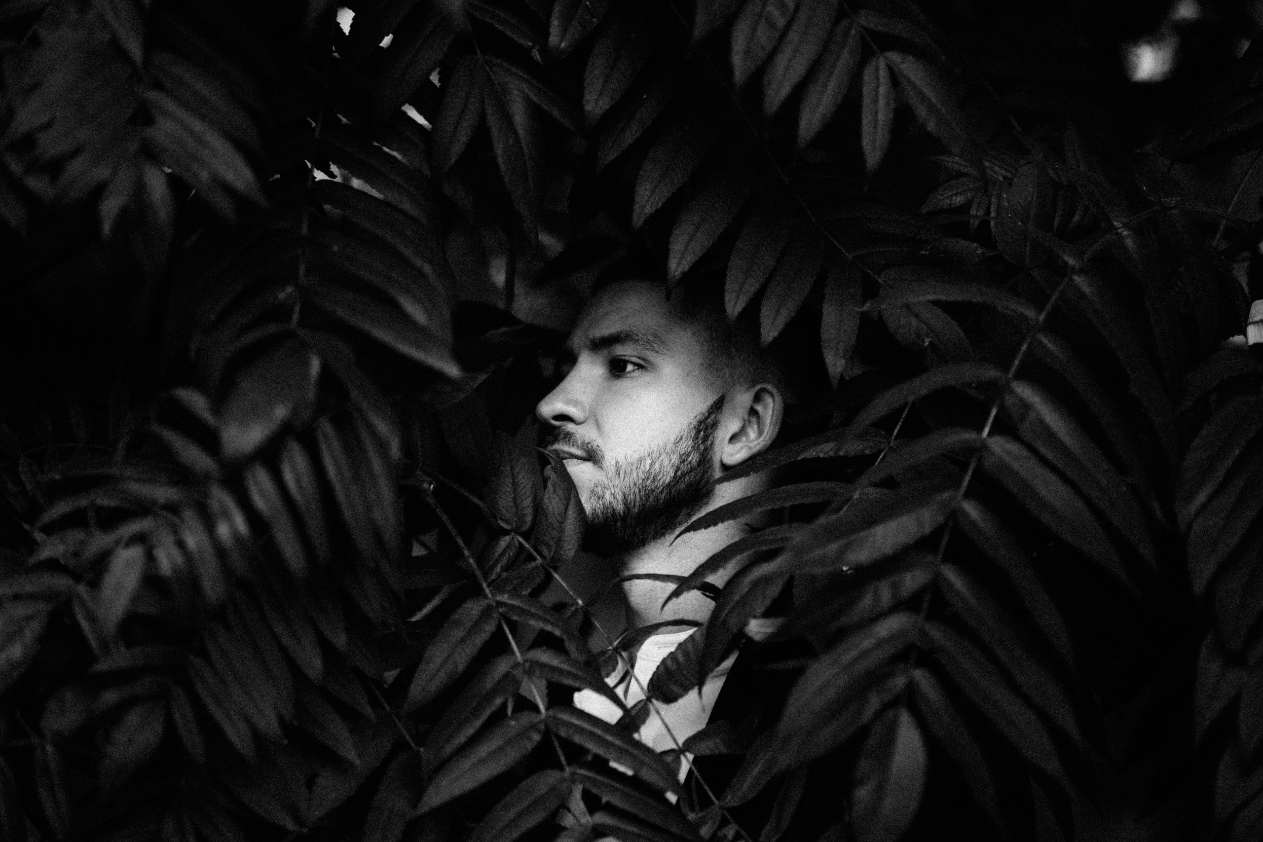 Vova & Kate. Свадебный фотограф в Киеве Дубовская Полина