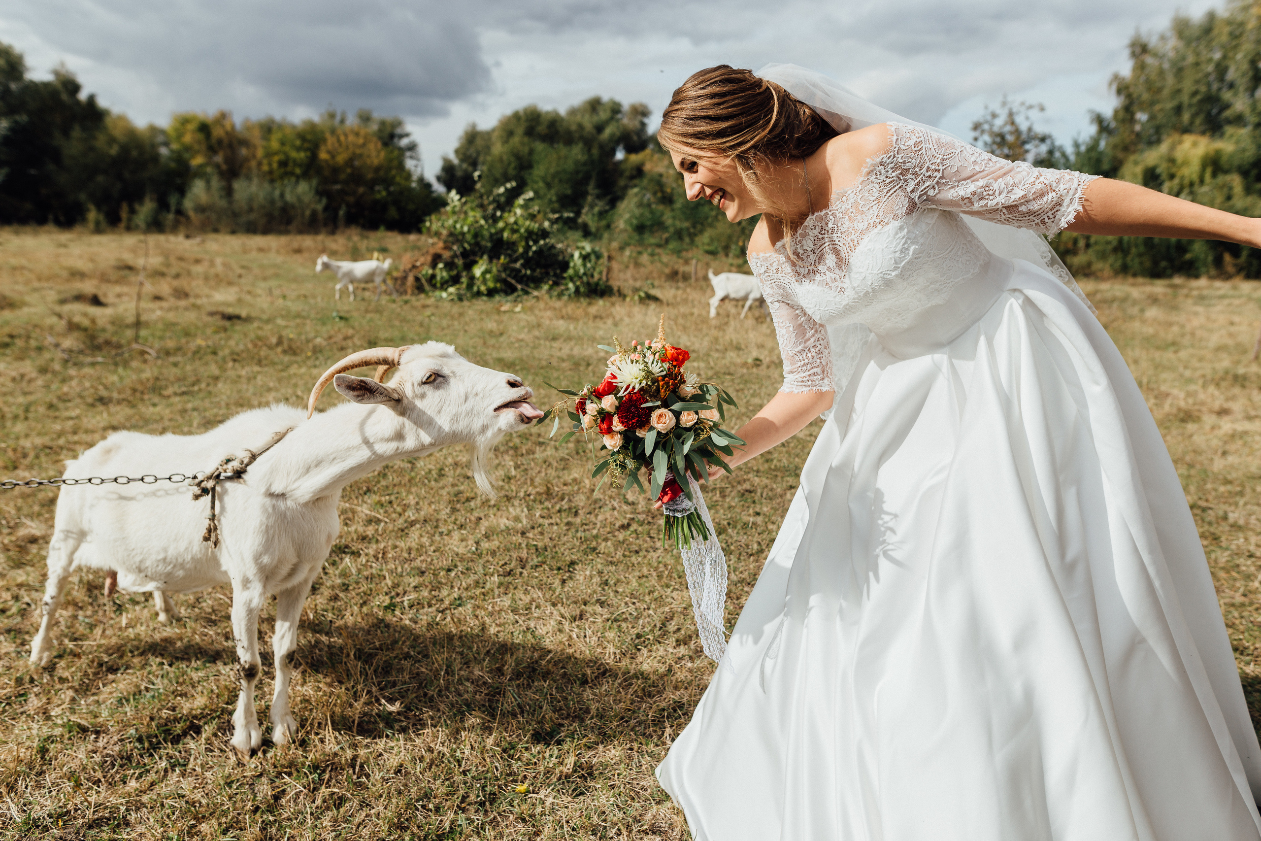 Vesta & Zhenya. Свадебный фотограф в Киеве Дубовская Полина