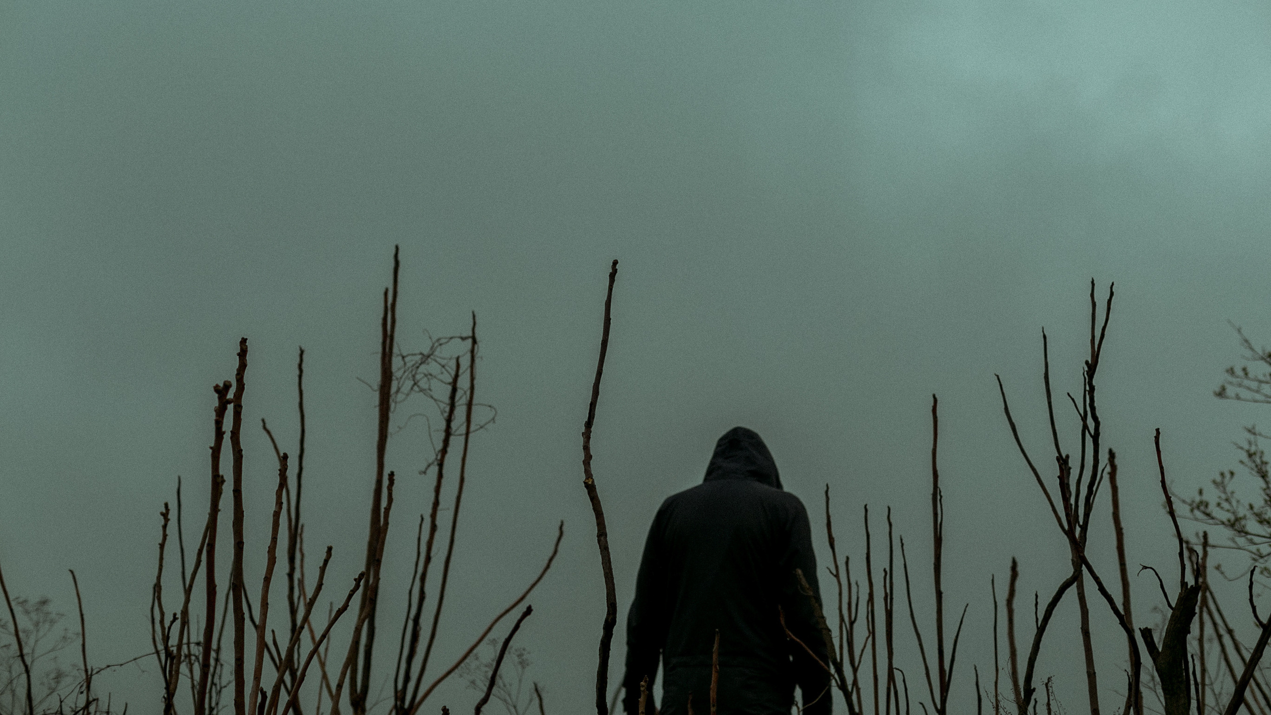 Conceptual. Julia Sonata. Berlin