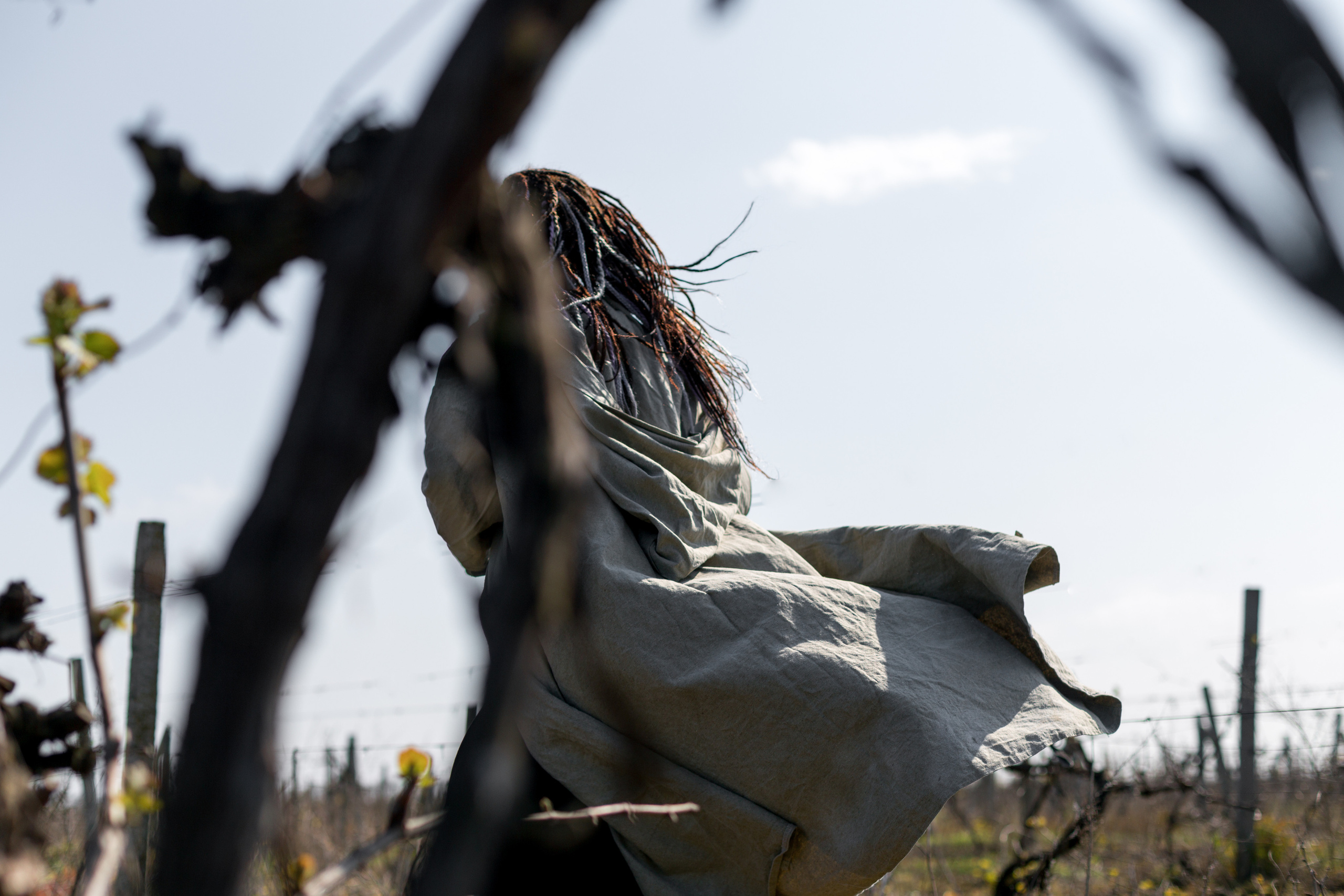 Conceptual. Julia Sonata. Berlin