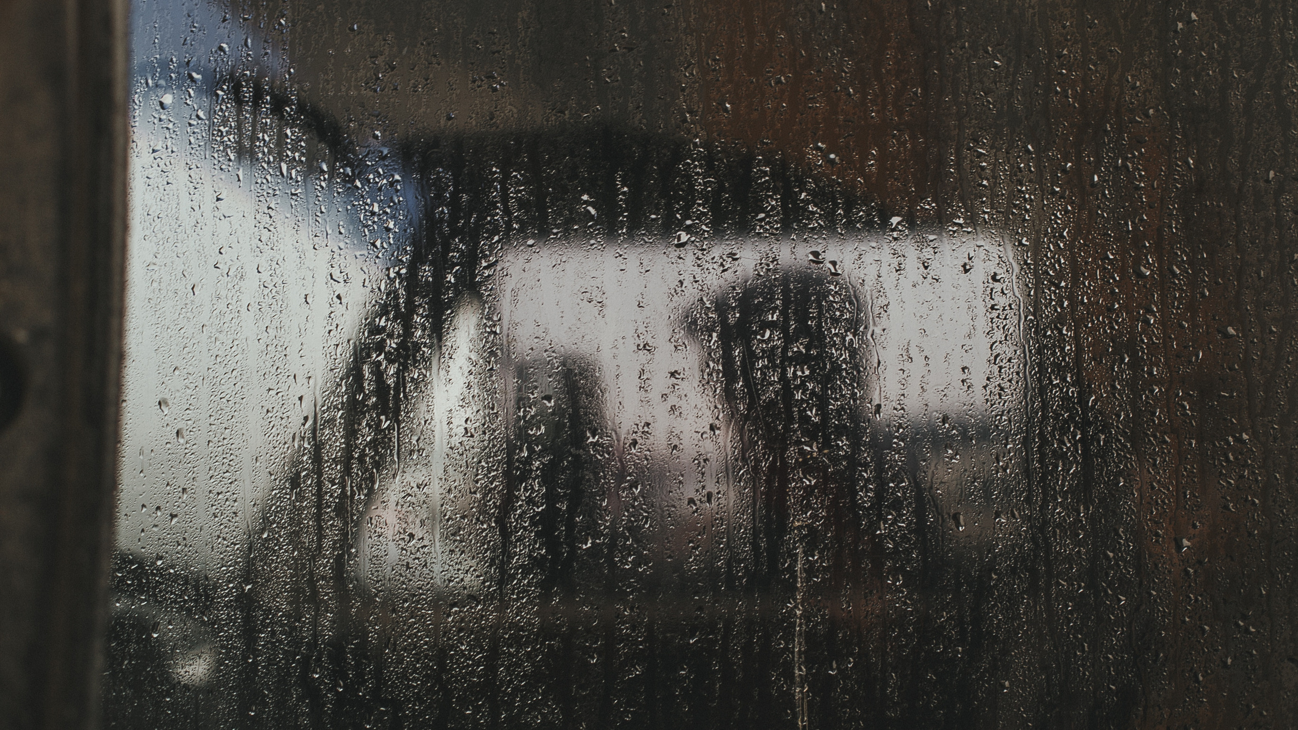 Conceptual. Julia Sonata. Berlin