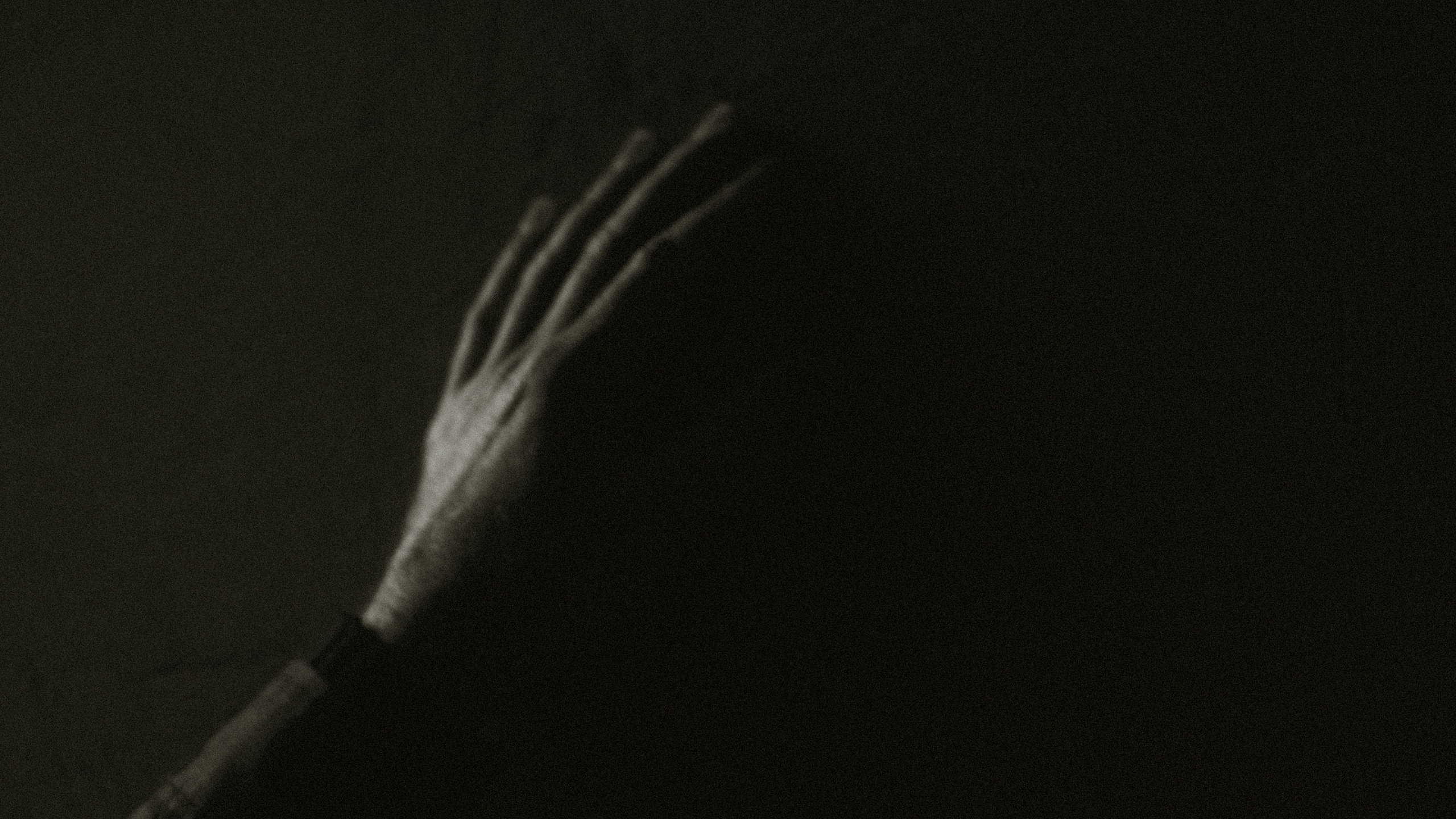 Conceptual. Julia Sonata. Berlin