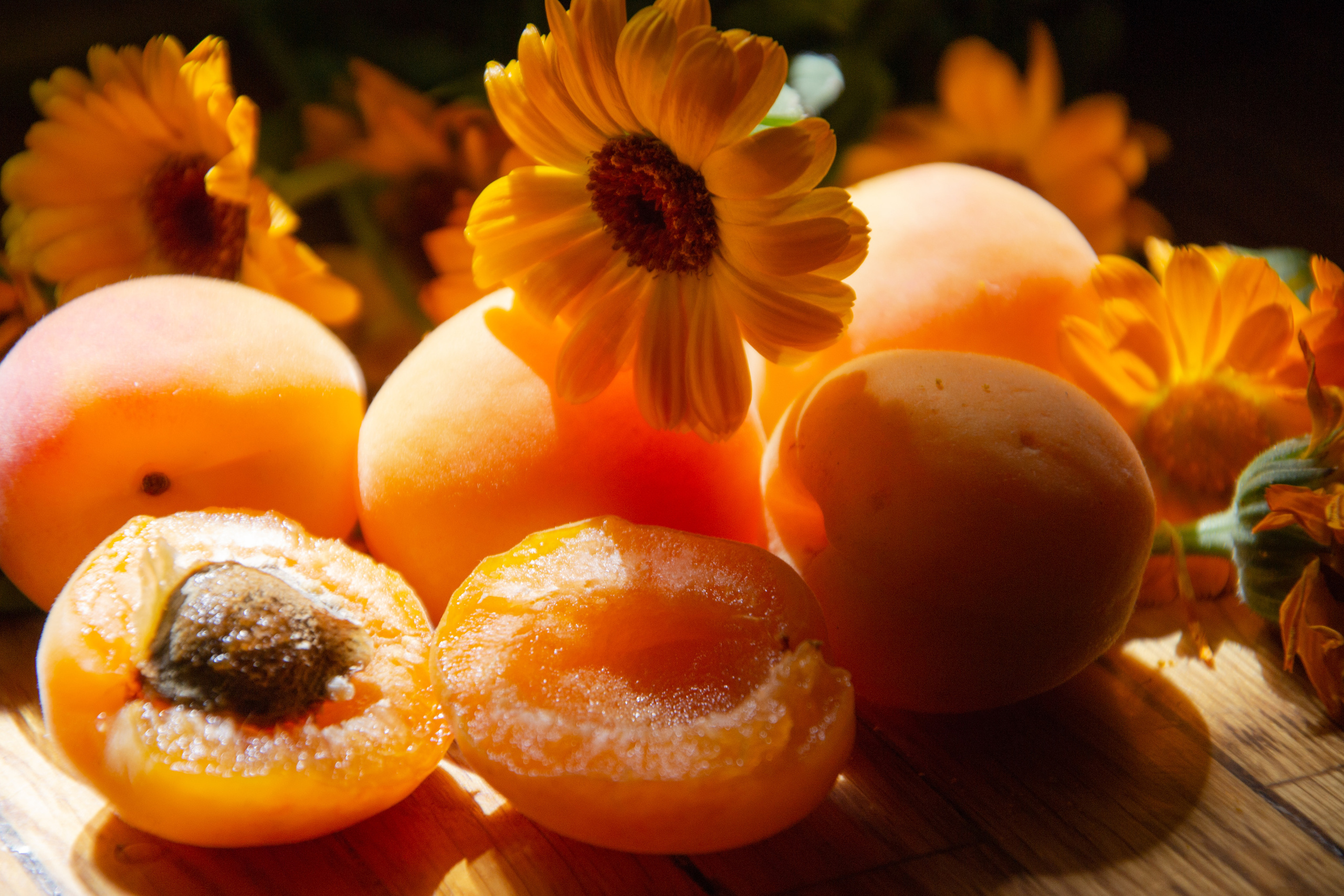 Still life. My name is Irina I am a family and portrait photographer