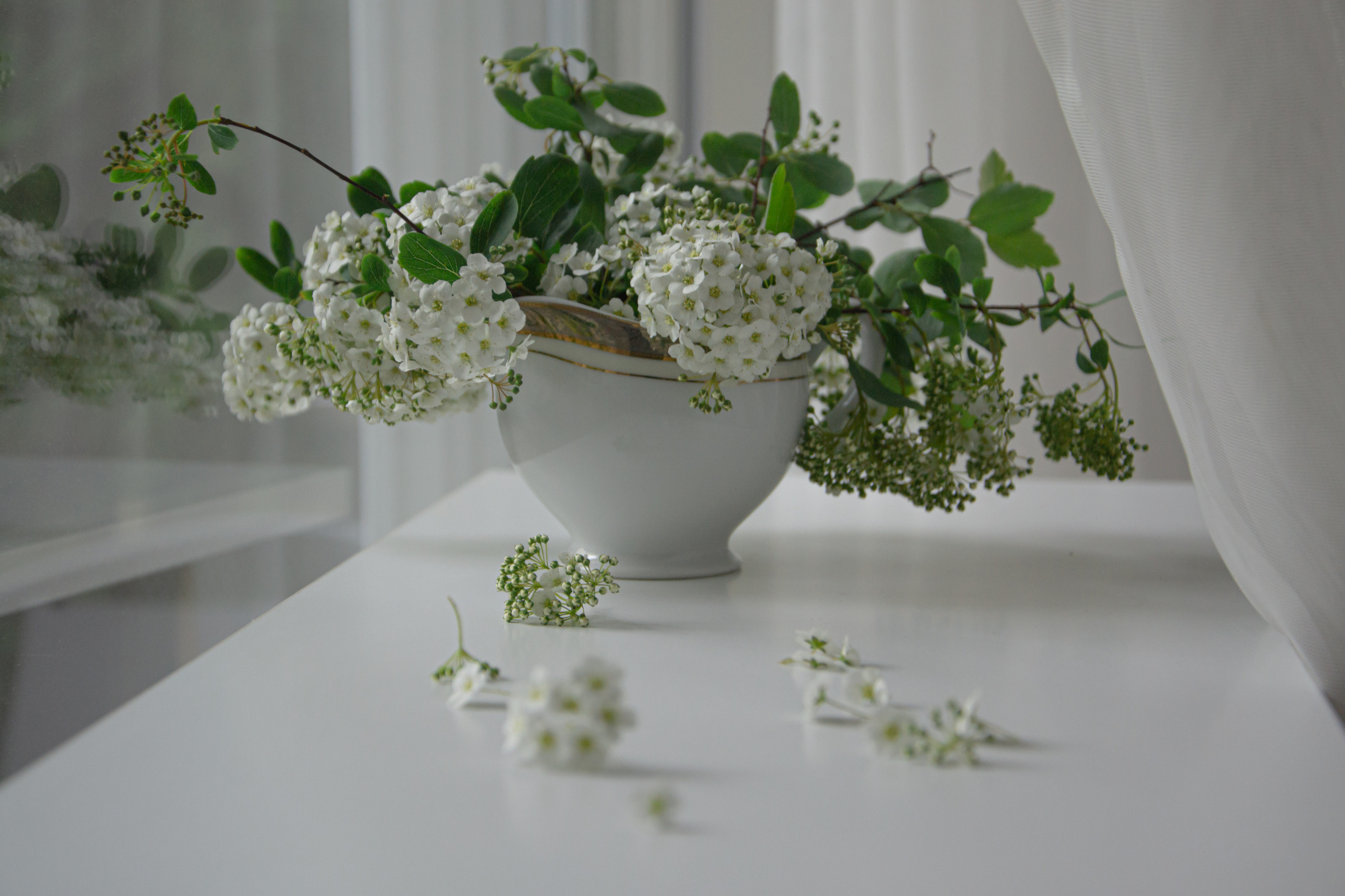 Still life. My name is Irina I am a family and portrait photographer