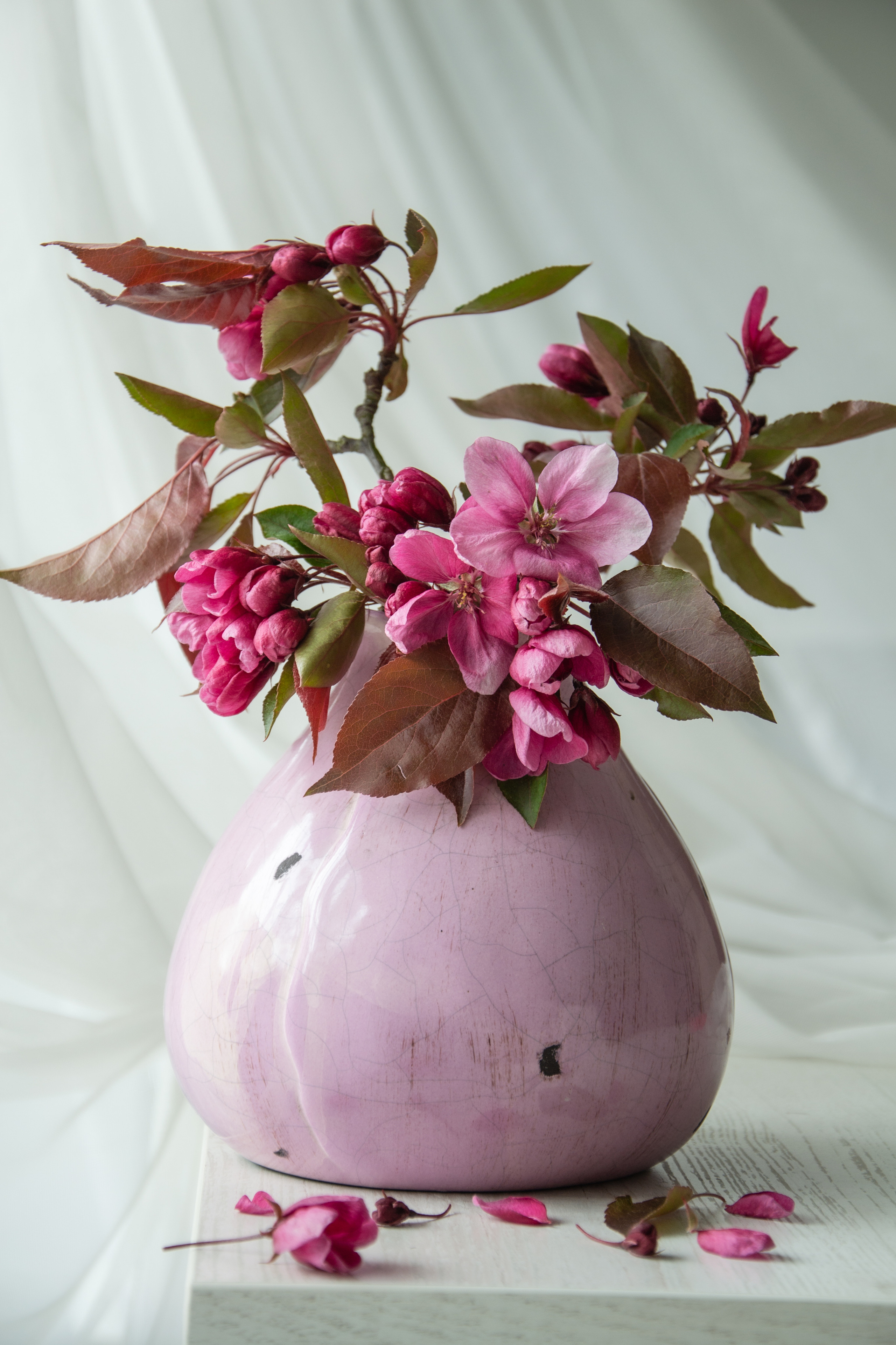 Still life. My name is Irina I am a family and portrait photographer