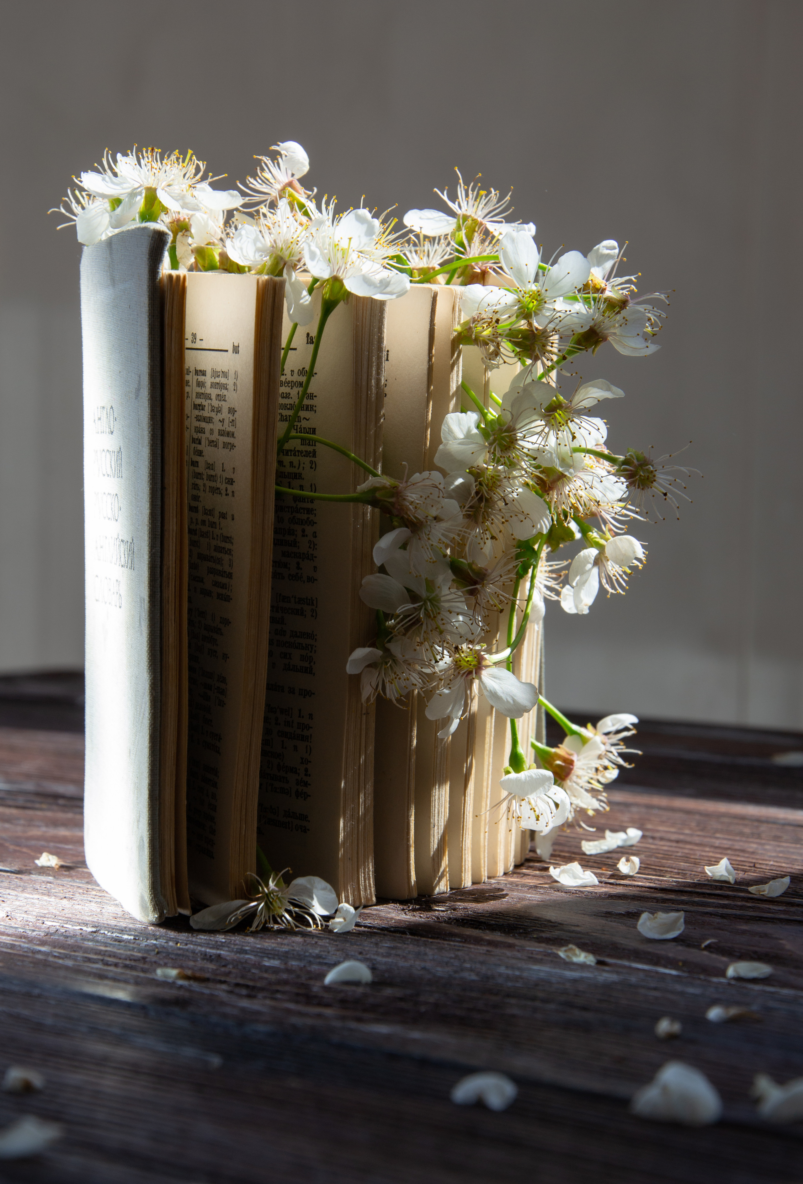 Still life. My name is Irina I am a family and portrait photographer