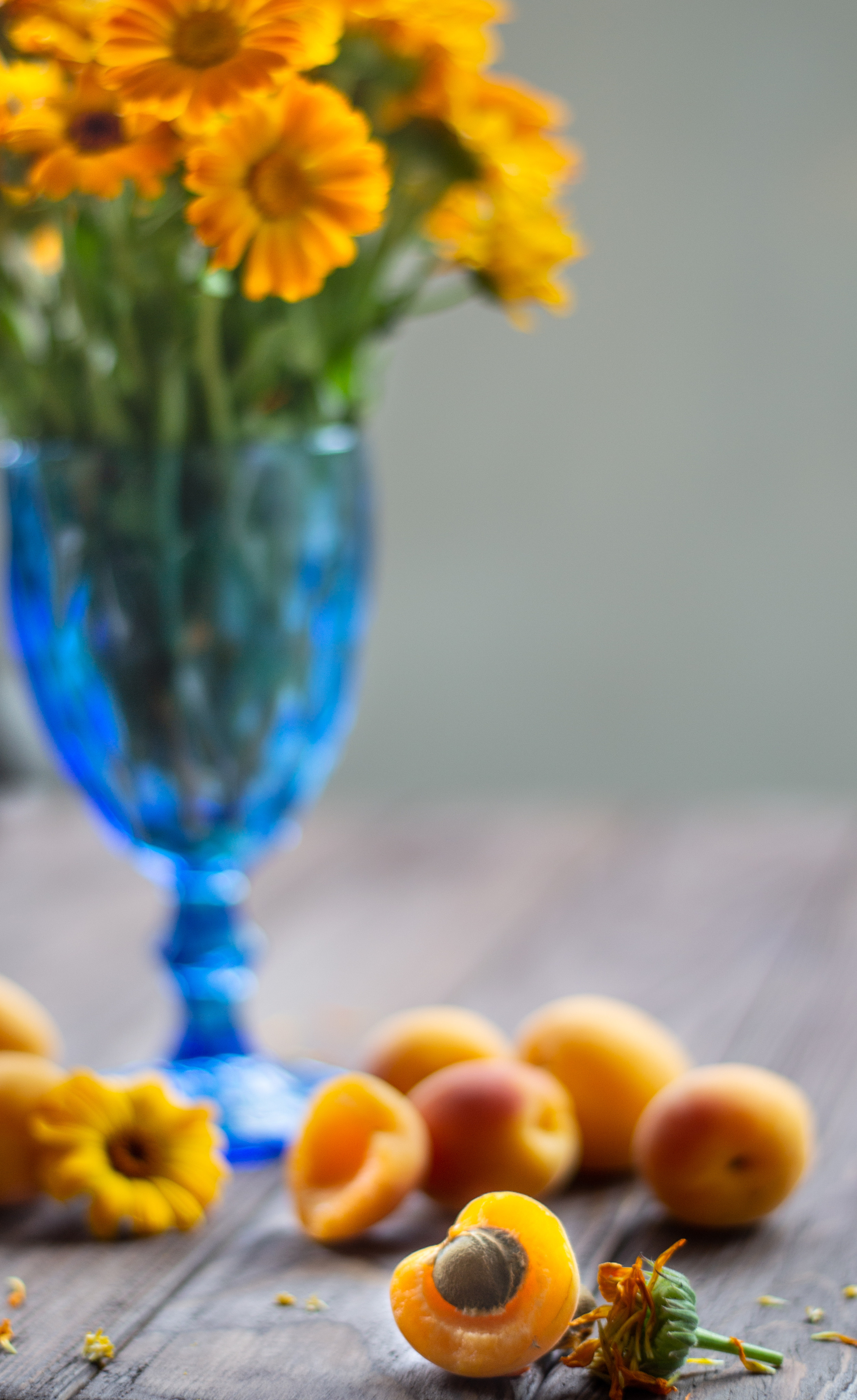 Still life. My name is Irina I am a family and portrait photographer